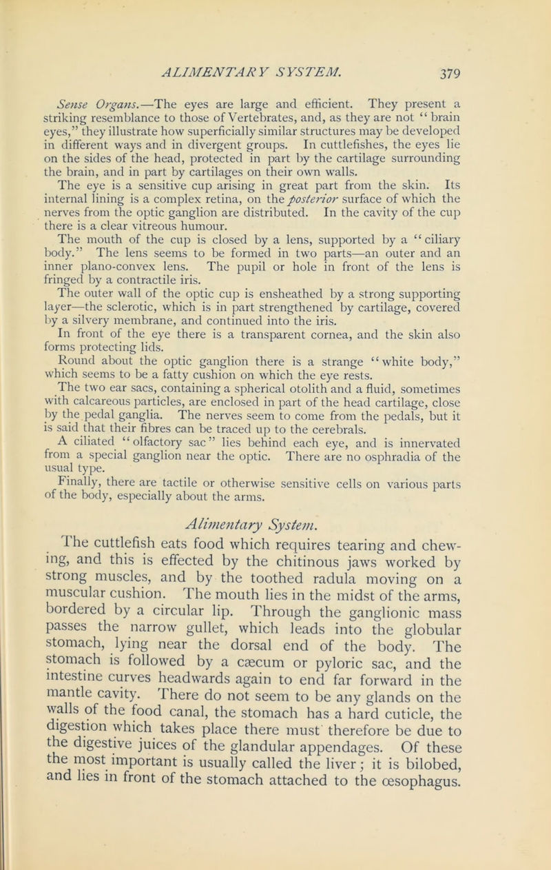 Sense Organs.—The eyes are large and efficient. They present a striking resemblance to those of Vertebrates, and, as they are not “ brain eyes,” they illustrate how superficially similar structures may be developed in different ways and in divergent groups. In cuttlefishes, the eyes lie on the sides of the head, protected in part by the cartilage surrounding the brain, and in part by cartilages on their own walls. The eye is a sensitive cup arising in great part from the skin. Its internal lining is a complex retina, on the posterior surface of which the nerves from the optic ganglion are distributed. In the cavity of the cup there is a clear vitreous humour. The mouth of the cup is closed by a lens, supported by a “ciliary body.” The lens seems to be formed in two parts—an outer and an inner plano-convex lens. The pupil or hole in front of the lens is fringed by a contractile iris. The outer wall of the optic cup is ensheathed by a strong supporting layer—the sclerotic, which is in part strengthened by cartilage, covered by a silvery membrane, and continued into the iris. In front of the eye there is a transparent cornea, and the skin also forms protecting lids. Round about the optic ganglion there is a strange “white body,” which seems to be a fatty cushion on which the eye rests. The two ear sacs, containing a spherical otolith and a fluid, sometimes with calcareous particles, are enclosed in part of the head cartilage, close by the pedal ganglia. The nerves seem to come from the pedals, but it is said that their fibres can be traced up to the cerebrals. A ciliated “olfactory sac” lies behind each eye, and is innervated from a special ganglion near the optic. There are no osphradia of the usual type. Finally, there are tactile or otherwise sensitive cells on various parts of the body, especially about the arms. Alimentary System. I he cuttlefish eats food which requires tearing and chew- ing, and this is effected by the chitinous jaws worked by strong muscles, and by the toothed raclula moving on a muscular cushion. The mouth lies in the midst of the arms, bordered by a circular lip. Through the ganglionic mass passes the narrow gullet, which leads into the globular stomach, lying near the dorsal end of the body. The stomach is followed by a caecum or pyloric sac, and the intestine curves headwards again to end far forward in the mantle cavity. I here do not seem to be any glands on the walls of the food canal, the stomach has a hard cuticle, the digestion which takes place there must therefore be due to the digestive juices of the glandular appendages. Of these the most important is usually called the liver ; it is bilobed, and lies in front of the stomach attached to the oesophagus.