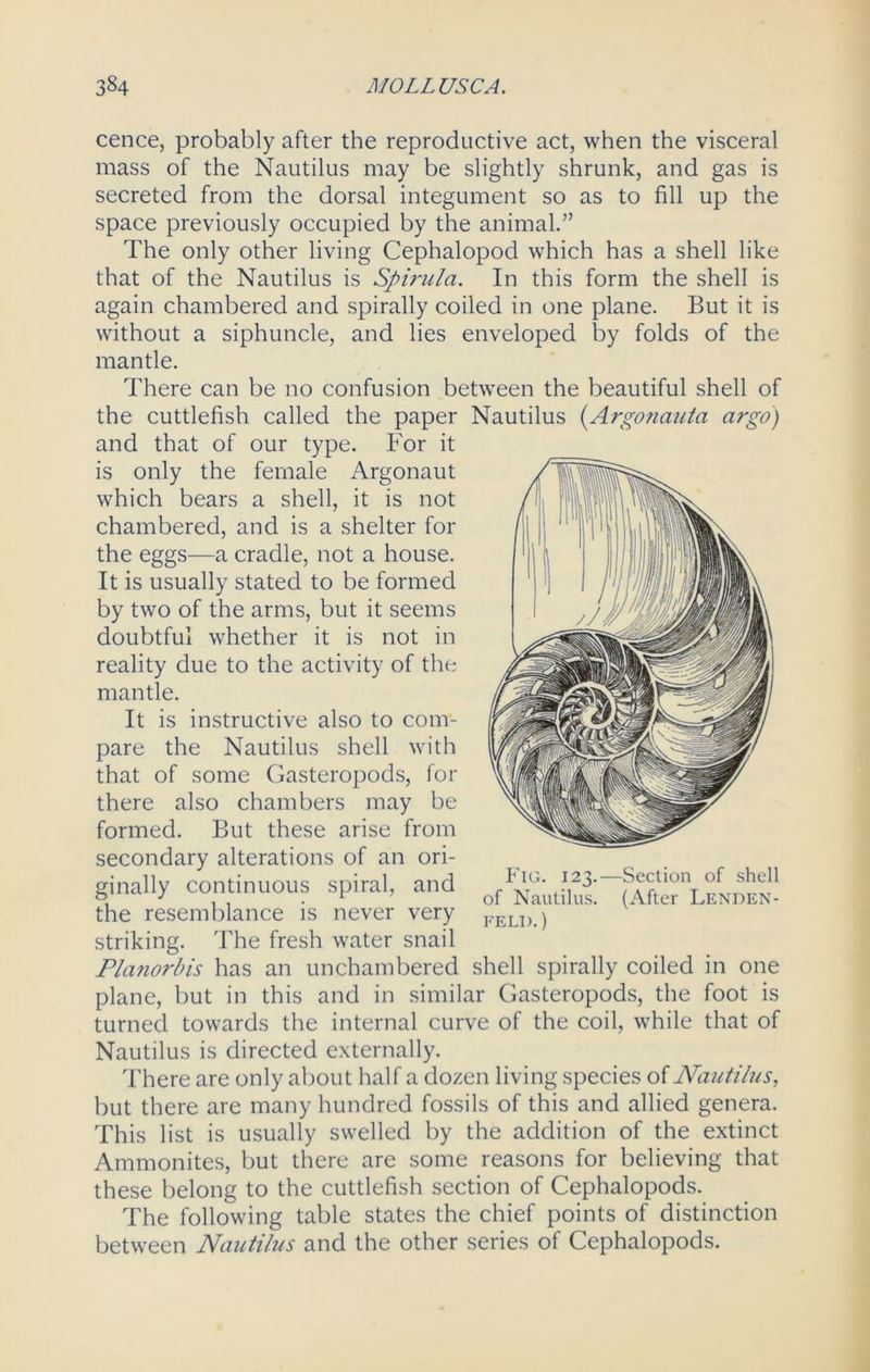 cence, probably after the reproductive act, when the visceral mass of the Nautilus may be slightly shrunk, and gas is secreted from the dorsal integument so as to fill up the space previously occupied by the animal.” The only other living Cephalopod which has a shell like that of the Nautilus is Spirula. In this form the shell is again chambered and spirally coiled in one plane. But it is without a siphuncle, and lies enveloped by folds of the mantle. There can be no confusion between the beautiful shell of the cuttlefish called the paper Nautilus (Argonauta argo) and that of our type. For it is only the female Argonaut which bears a shell, it is not chambered, and is a shelter for the eggs—a cradle, not a house. It is usually stated to be formed by two of the arms, but it seems doubtful whether it is not in reality due to the activity of the mantle. It is instructive also to com- pare the Nautilus shell with that of some Gasteropods, for there also chambers may be formed. But these arise from secondary alterations of an ori- ginally continuous spiral, and the resemblance is never very striking. The fresh water snail Planorbis has an unchambered shell spirally coiled in one plane, but in this and in similar Gasteropods, the foot is turned towards the internal curve of the coil, while that of Nautilus is directed externally. There are only about half a dozen living species of Nautilus, but there are many hundred fossils of this and allied genera. This list is usually swelled by the addition of the extinct Ammonites, but there are some reasons for believing that these belong to the cuttlefish section of Cephalopods. The following table states the chief points of distinction between Nautilus and the other series of Cephalopods. Fig. 123.—Section of shell of Nautilus. (After Lenden- FELI>.)