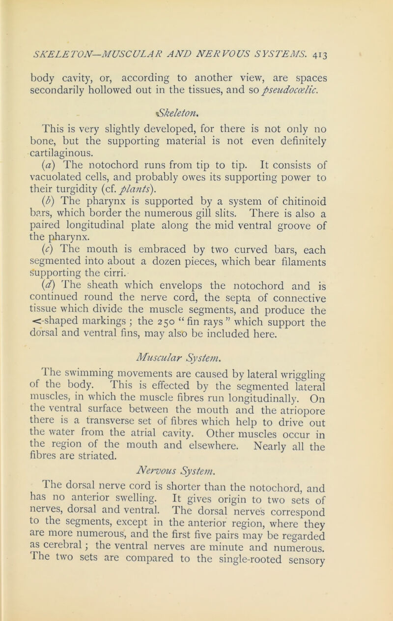 body cavity, or, according to another view, are spaces secondarily hollowed out in the tissues, and sopsetidocoelic. \Skeleton. This is very slightly developed, for there is not only no bone, but the supporting material is not even definitely cartilaginous. (a) The notochord runs from tip to tip. It consists of vacuolated cells, and probably owes its supporting power to their turgidity (cf. plants). {b) The pharynx is supported by a system of chitinoid bars, which border the numerous gill slits. There is also a paired longitudinal plate along the mid ventral groove of the pharynx. (c) The mouth is embraced by two curved bars, each segmented into about a dozen pieces, which bear filaments supporting the cirri. (d) The sheath which envelops the notochord and is continued round the nerve cord, the septa of connective tissue which divide the muscle segments, and produce the <-shaped markings ; the 250 “fin rays” which support the dorsal and ventral fins, may also be included here. Muscular System. The swimming movements are caused by lateral wriggling of the body. This is effected by the segmented lateral muscles, in which the muscle fibres run longitudinally. On the ventral surface between the mouth and the atriopore there is a transverse set of fibres which help to drive out the water from the atrial cavity. Other muscles occur in the region of the mouth and elsewhere. Nearly all the fibres are striated. Nervous System. The dorsal nerve cord is shorter than the notochord, and has no anterior swelling. It gives origin to two sets of nerves, dorsal and ventral. The dorsal nerves correspond to the segments, except in the anterior region, where they are more numerous, and the first five pairs may be regarded as cerebral; the ventral nerves are minute and numerous. The two sets are compared to the single-rooted sensory