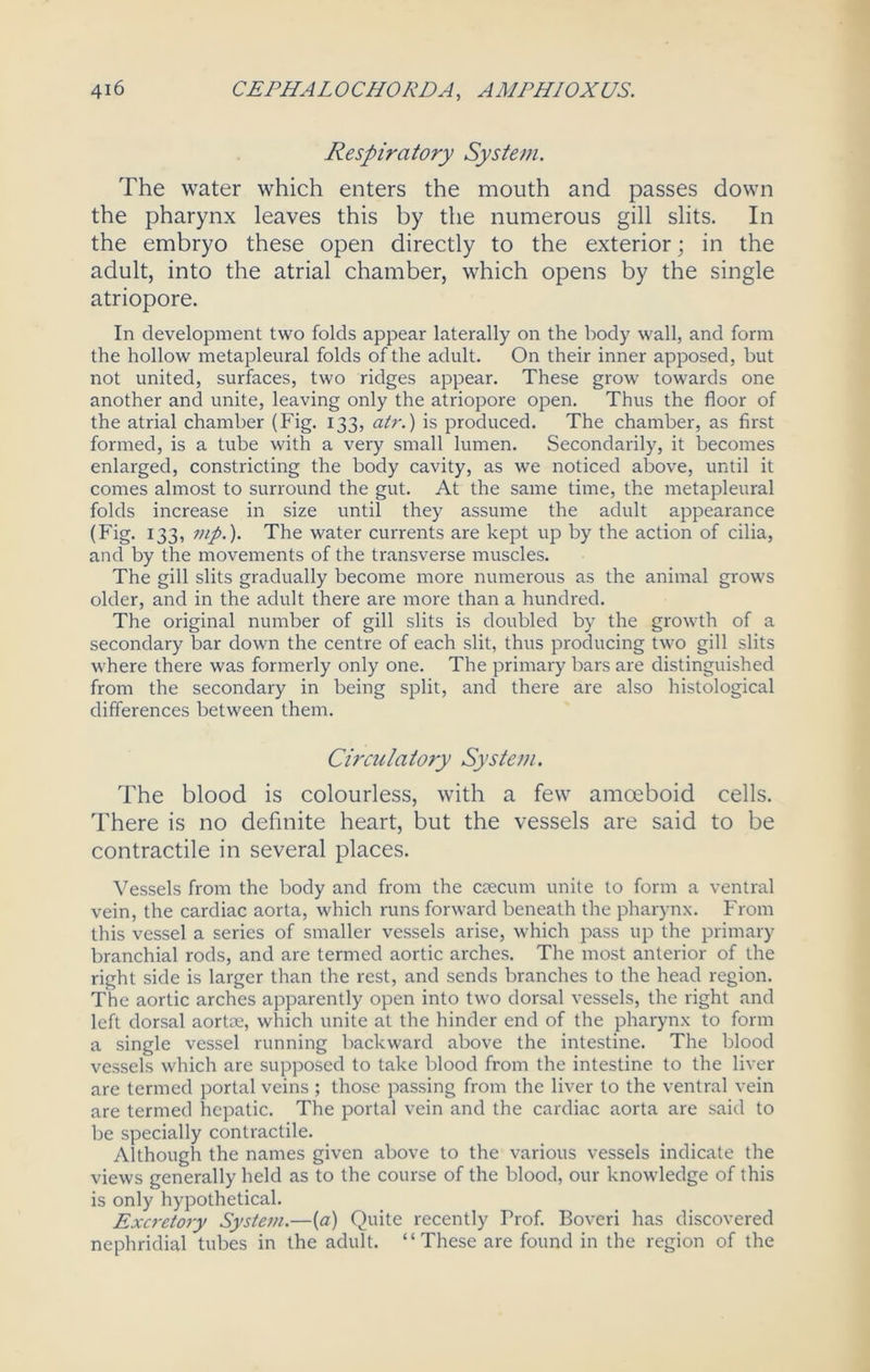 Respiratory System. The water which enters the mouth and passes down the pharynx leaves this by the numerous gill slits. In the embryo these open directly to the exterior; in the adult, into the atrial chamber, which opens by the single atriopore. In development two folds appear laterally on the body wall, and form the hollow metapleural folds of the adult. On their inner apposed, but not united, surfaces, two ridges appear. These grow towards one another and unite, leaving only the atriopore open. Thus the floor of the atrial chamber (Fig. 133, atr.) is produced. The chamber, as first formed, is a tube with a very small lumen. Secondarily, it becomes enlarged, constricting the body cavity, as we noticed above, until it comes almost to surround the gut. At the same time, the metapleural folds increase in size until they assume the adult appearance (Fig. 133, inp.). The water currents are kept up by the action of cilia, and by the movements of the transverse muscles. The gill slits gradually become more numerous as the animal grows older, and in the adult there are more than a hundred. The original number of gill slits is doubled by the growth of a secondary bar down the centre of each slit, thus producing two gill slits where there was formerly only one. The primary bars are distinguished from the secondary in being split, and there are also histological differences between them. Circulatory System. The blood is colourless, with a few amoeboid cells. There is no definite heart, but the vessels are said to be contractile in several places. Vessels from the body and from the ctecum unite to form a ventral vein, the cardiac aorta, which runs forward beneath the pharynx. From this vessel a series of smaller vessels arise, which pass up the primary branchial rods, and are termed aortic arches. The most anterior of the right side is larger than the rest, and sends branches to the head region. The aortic arches apparently open into two dorsal vessels, the right and left dorsal aortoe, which unite at the hinder end of the pharynx to form a single vessel running backward above the intestine. The blood vessels which are supposed to take blood from the intestine to the liver are termed portal veins ; those passing from the liver to the ventral vein are termed hepatic. The portal vein and the cardiac aorta are said to be specially contractile. Although the names given above to the various vessels indicate the views generally held as to the course of the blood, our knowledge of this is only hypothetical. Excretory System.—(a) Quite recently Prof. Boveri has discovered nephridial tubes in the adult. “ These are found in the region of the