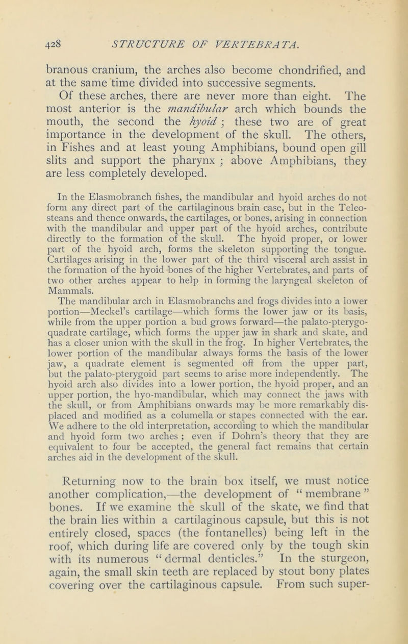 branous cranium, the arches also become chondrified, and at the same time divided into successive segments. Of these arches, there are never more than eight. The most anterior is the mandibular arch which bounds the mouth, the second the hyoid; these two are of great importance in the development of the skull. The others, in Fishes and at least young Amphibians, bound open gill slits and support the pharynx ; above Amphibians, they are less completely developed. In the Elasmobranch fishes, the mandibular and hyoid arches do not form any direct part of the cartilaginous brain case, but in the Teleo- steans and thence onwards, the cartilages, or bones, arising in connection with the mandibular and upper part of the hyoid arches, contribute directly to the formation of the skull. The hyoid proper, or lower part of the hyoid arch, forms the skeleton supporting the tongue. Cartilages arising in the lower part of the third visceral arch assist in the formation of the hyoid bones of the higher Vertebrates, and parts of two other arches appear to help in forming the laryngeal skeleton of Mammals. The mandibular arch in Elasmobranchs and frogs divides into a lower portion—Meckel’s cartilage—which forms the lower jaw or its basis, while from the upper portion a bud grows forward—the palato-pterygo- quadrate cartilage, which forms the upper jaw in shark and skate, and has a closer union with the skull in the frog. In higher Vertebrates, the lower portion of the mandibular always forms the basis of the lower jaw, a quadrate element is segmented off from the upper part, but the palato-pterygoid part seems to arise more independently. The hyoid arch also divides into a lower portion, the hyoid proper, and an upper portion, the hyo-mandibular, which may connect the jaws with the skull, or from Amphibians onwards may be more remarkably dis- placed and modified as a columella or stapes connected with the ear. We adhere to the old interpretation, according to which the mandibular and hyoid form two arches ; even if Dohrn’s theory that they are equivalent to four be accepted, the general fact remains that certain arches aid in the development of the skull. Returning now to the brain box itself, we must notice another complication,—the development of “ membrane ” bones. If we examine the skull of the skate, we find that the brain lies within a cartilaginous capsule, but this is not entirely closed, spaces (the fontanelles) being left in the roof, which during life are covered only by the tough skin with its numerous “ dermal denticles.” In the sturgeon, again, the small skin teeth are replaced by stout bony plates covering over the cartilaginous capsule. From such super-