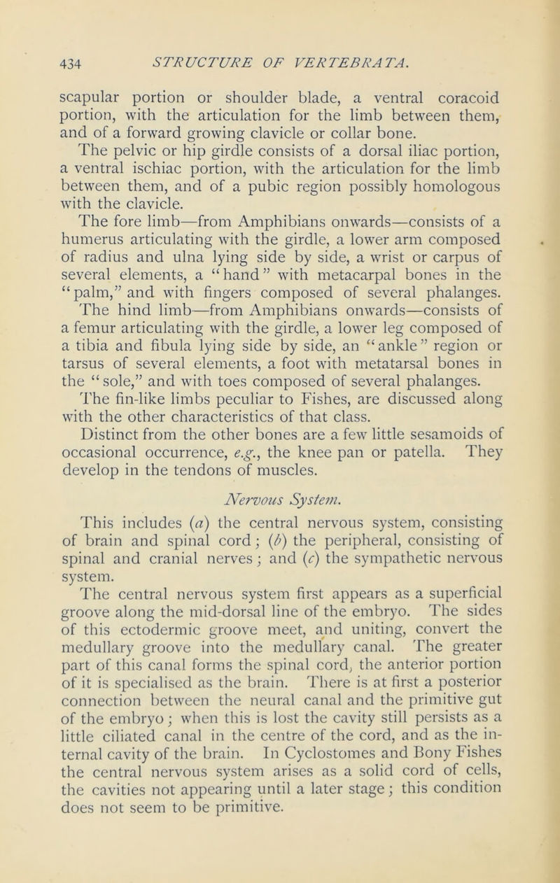scapular portion or shoulder blade, a ventral coracoid portion, with the articulation for the limb between them, and of a forward growing clavicle or collar bone. The pelvic or hip girdle consists of a dorsal iliac portion, a ventral ischiac portion, with the articulation for the limb between them, and of a pubic region possibly homologous with the clavicle. The fore limb—from Amphibians onwards—consists of a humerus articulating with the girdle, a lower arm composed of radius and ulna lying side by side, a wrist or carpus of several elements, a “ hand ” with metacarpal bones in the “palm,” and with fingers composed of several phalanges. The hind limb—from Amphibians onwards—consists of a femur articulating with the girdle, a lower leg composed of a tibia and fibula lying side by side, an “ ankle ” region or tarsus of several elements, a foot with metatarsal bones in the “ sole,” and with toes composed of several phalanges. The fin-like limbs peculiar to Fishes, are discussed along with the other characteristics of that class. Distinct from the other bones are a few little sesamoids of occasional occurrence, e.g., the knee pan or patella. They develop in the tendons of muscles. Nervous System. This includes (a) the central nervous system, consisting of brain and spinal cord; (/;) the peripheral, consisting of spinal and cranial nerves; and (e) the sympathetic nervous system. The central nervous system first appears as a superficial groove along the mid-dorsal line of the embryo. The sides of this ectodermic groove meet, and uniting, convert the medullary groove into the medullary canal. The greater part of this canal forms the spinal cord, the anterior portion of it is specialised as the brain. There is at first a posterior connection between the neural canal and the primitive gut of the embryo; when this is lost the cavity still persists as a little ciliated canal in the centre of the cord, and as the in- ternal cavity of the brain. In Cyclostomes and Bony Fishes the central nervous system arises as a solid cord of cells, the cavities not appearing until a later stage; this condition does not seem to be primitive.