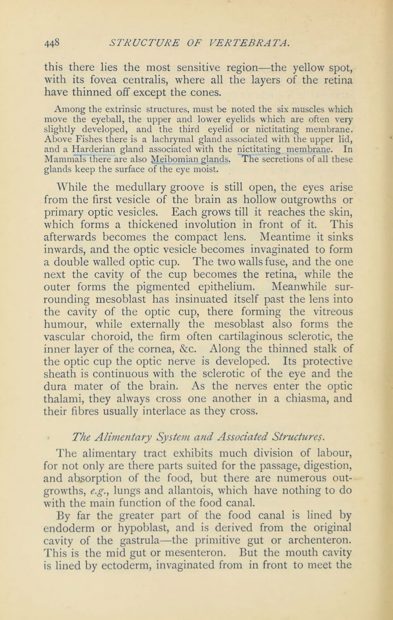 this there lies the most sensitive region—the yellow spot, with its fovea centralis, where all the layers of the retina have thinned off except the cones. Among the extrinsic structures, must be noted the six muscles which move the eyeball, the upper and lower eyelids which are often very slightly developed, and the third eyelid or nictitating membrane. Above Fishes there is a lachrymal gland associated with the upper lid, and a Harderian gland associated with the nictitating membrane. In Mammals there are also Meibomian glands. The secretions of all these glands keep the surface of the eye moist. While the medullary groove is still open, the eyes arise from the first vesicle of the brain as hollow outgrowths or primary optic vesicles. Each grows till it reaches the skin, which forms a thickened involution in front of it. This afterwards becomes the compact lens. Meantime it sinks inwards, and the optic vesicle becomes invaginated to form a double walled optic cup. The two walls fuse, and the one next the cavity of the cup becomes the retina, while the outer forms the pigmented epithelium. Meanwhile sur- rounding mesoblast has insinuated itself past the lens into the cavity of the optic cup, there forming the vitreous humour, while externally the mesoblast also forms the vascular choroid, the firm often cartilaginous sclerotic, the inner layer of the cornea, &c. Along the thinned stalk of the optic cup the optic nerve is developed. Its protective sheath is continuous with the sclerotic of the eye and the dura mater of the brain. As the nerves enter the optic thalami, they always cross one another in a chiasma, and their fibres usually interlace as they cross. The Alimentary System and Associated Structures. The alimentary tract exhibits much division of labour, for not only are there parts suited for the passage, digestion, and absorption of the food, but there are numerous out- growths, e.g., lungs and allantois, which have nothing to do with the main function of the food canal. By far the greater part of the food canal is lined by endoderm or hypoblast, and is derived from the original cavity of the gastrula—the primitive gut or archenteron. This is the mid gut or mesenteron. But the mouth cavity is lined by ectoderm, invaginated from in front to meet the