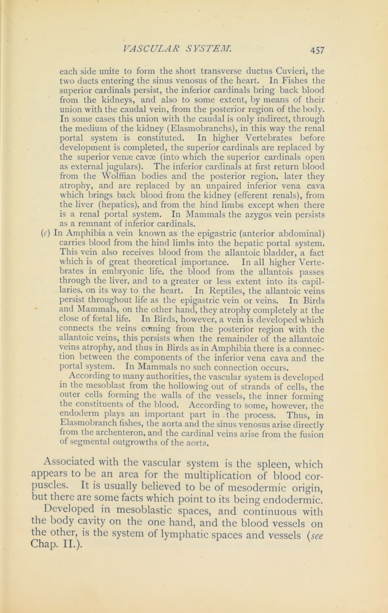 each side unite to form the short transverse ductus Cuvieri, the two ducts entering the sinus venosus of the heart. In Fishes the superior cardinals persist, the inferior cardinals bring back blood from the kidneys, and also to some extent, by means of their union with the caudal vein, from the posterior region of the body. In some cases this union with the caudal is only indirect, through the medium of the kidney (Elasmobranchs), in this way the renal portal system is constituted. In higher Vertebrates before development is completed, the superior cardinals are replaced by the superior venae cavce (into which the superior cardinals open as external jugulars). The inferior cardinals at first return blood from the Wolffian bodies and the posterior region, later they atrophy, and are replaced by an unpaired inferior vena cava which brings back blood from the kidney (efferent renals), from the liver (hepatics), and from the hind limbs except when there is a renal portal system. In Mammals the azygos vein persists as a remnant of inferior cardinals. (c) In Amphibia a vein known as the epigastric (anterior abdominal) carries blood from the hind limbs into the hepatic portal system. This vein also receives blood from the allantoic bladder, a fact which is of great theoretical importance. In all higher Verte- brates in embryonic life, the blood from the allantois passes through the liver, and to a greater or less extent into its capil- laries, on its way to the heart. In Reptiles, the allantoic veins persist throughout life as the epigastric vein or veins. In Birds and Mammals, on the other hand, they atrophy completely at the close of foetal life. In Birds, however, a vein is developed which connects the veins coming from the posterior region with the allantoic veins, this persists when the remainder of the allantoic veins atrophy, and thus in Birds as in Amphibia there is a connec- tion between the components of the inferior vena cava and the portal system. In Mammals no such connection occurs. According to many authorities, the vascular system is developed in the mesoblast from the hollowing out of strands of cells, the outer cells forming the walls of the vessels, the inner forming the constituents of the blood. According to some, however, the endoderm plays an important part in the process. Thus, in Elasmobranch fishes, the aorta and the sinus venosus arise directly from the archenteron, and the cardinal veins arise from the fusion of segmental outgrowths of the aorta. Associated with the vascular system is the spleen, which appears to be an area for the multiplication of blood cor- puscles. It is usually believed to be of mesodermic origin, but there are some facts which point to its being endodermic. Developed in mesoblastic spaces, and continuous with the body cavity on the one hand, and the blood vessels on the other, is the system of lymphatic spaces and vessels (see Chap. II.).