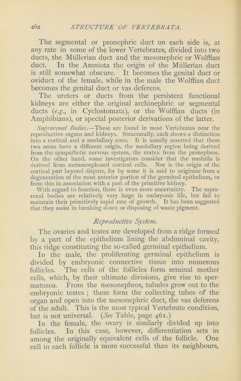 The segmental or pronephric duct on each side is, at any rate in some of the lower Vertebrates, divided into two ducts, the Mullerian duct and the mesonephric or Wolffian duct. In the Amniota the origin of the Mullerian duct is still somewhat obscure. It becomes the genital duct or oviduct of the female, while in the male the Wolffian duct becomes the genital duct or vas deferens. The ureters or ducts from the persistent functional kidneys are either the original archinephric or segmental ducts (e.g., in Cyclostomata), or the Wolffian ducts (in Amphibians), or special posterior derivations of the latter. Suprarenal Bodies.—These are found in most Vertebrates near the reproductive organs and kidneys. Structurally, each shows a distinction into a cortical and a medullary zone. It is usually asserted that these two areas have a different origin, the medullary region being derived from the sympathetic nervous system, the cortex from the pronephros. On the other hand, some investigators consider that the medulla is derived from metamorphosed cortical cells. Nor is the origin of the cortical part beyond dispute, for by some it is said to originate from a degeneration of the most anterior portion of the germinal epithelium, or from this in association with a part of the primitive kidney. With regard to function, there is even more uncertainty. The supra- renal bodies are relatively very large in embryonic life, but fail to maintain their primitively rapid rate of growth. It has been suggested that they assist in breaking down or disposing of waste pigment. Reproductive System. The ovaries and testes are developed from a ridge formed by a part of the epithelium lining the abdominal cavity, this ridge constituting the so-called germinal epithelium. In the male, the proliferating germinal epithelium is divided by embryonic connective tissue into numerous follicles. The cells of the follicles form seminal mother cells, which, by their ultimate divisions, give rise to sper- matozoa. From the mesonephros, tubules grow out to the embryonic testes ; these form the collecting tubes of the organ and open into the mesonephric duct, the vas deferens of the adult. This is the most typical Vertebrate condition, but is not universal. (See Table, page 461.) In the female, the ovary is similarly divided up into follicles. In this case, however, differentiation sets in among the originally equivalent cells of the follicle. One cell in each follicle is more successful than its neighbours,