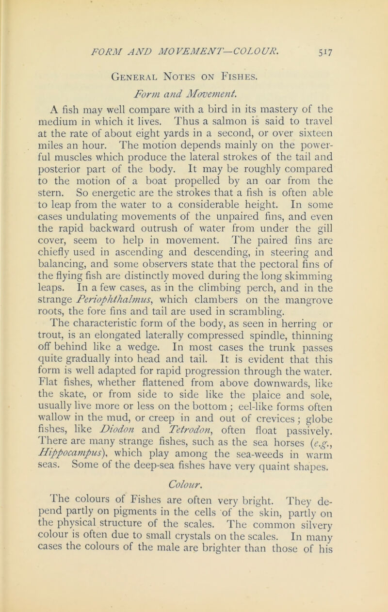 General Notes on Fishes. Form a?id Movement. A fish may well compare with a bird in its mastery of the medium in which it lives. Thus a salmon is said to travel at the rate of about eight yards in a second, or over sixteen miles an hour. The motion depends mainly on the power- ful muscles which produce the lateral strokes of the tail and posterior part of the body. It may be roughly compared to the motion of a boat propelled by an oar from the stern. So energetic are the strokes that a fish is often able to leap from the water to a considerable height. In some cases undulating movements of the unpaired fins, and even the rapid backward outrush of water from under the gill cover, seem to help in movement. The paired fins are chiefly used in ascending and descending, in steering and balancing, and some observers state that the pectoral fins of the flying fish are distinctly moved during the long skimming leaps. In a few cases, as in the climbing perch, and in the strange Feriophthalmus, which clambers on the mangrove roots, the fore fins and tail are used in scrambling. The characteristic form of the body, as seen in herring or trout, is an elongated laterally compressed spindle, thinning off behind like a wedge. In most cases the trunk passes quite gradually into head and tail. It is evident that this form is well adapted for rapid progression through the water. Flat fishes, whether flattened from above downwards, like the skate, or from side to side like the plaice and sole, usually live more or less on the bottom ; eel-like forms often wallow in the mud, or creep in and out of crevices; globe fishes, like Diodon and Tetrodon, often float passively. There are many strange fishes, such as the sea horses (e.g., Hippocampus), which play among the sea-weeds in warm seas. Some of the deep-sea fishes have very quaint shapes. Colour. The colours of Fishes are often very bright. They de- pend partly on pigments in the cells of the skin, partly on the physical structure of the scales. The common silvery colour is often due to small crystals on the scales. In many cases the colours of the male are brighter than those of his