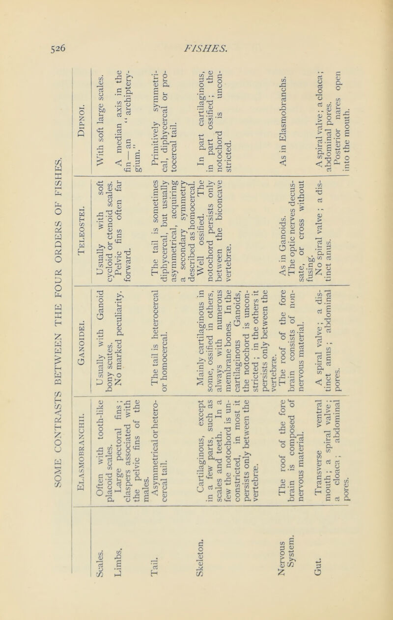 SOME CONTRASTS BETWEEN THE FOUR ORDERS OF FISHES. in GJ GJ ♦-> 1 >, v_ GJ etri- pro- 13 CJ C 4—> in axis 2 E 0 0 OJ b/) P ri ^ ri 0 S7, rS - CL ,4-i G 2^8 o in X ri Z < g c 2 x bo « - .£ X - ^ -a o lH - P o, 73 o o X - D 1 in a c p-5 o 2 0 c c bO ‘ ri X rr p r:S w ri <n 0 o - 3 o ri t: a. ct — CL O r- O X 0) O o'h in x CJ ri X o £ m ri 3 in < rt 0 ri 13 ri p a o - 2 P P O G X CL 5 • O ^ ri 0 £ 3 .S 'c GJ c p r- ag to ■*—< < x - O 4-* r- ri • — X X in ^P rt o in X O * J O O m O CO GJ - * bfl CJ p g p rt x ■c id «h 'peg g’S o GJ fins w 13 13 _o m ri P O 'd u ’ri CJ u GJ O i-t 4-» GJ £ 3 x G P 0 X ri GJ 8 G 0 r-* r~] s 8 p (0h S-. h CL to to GJ <2 Tj rt ri T3 s *co to O O g ri o o i/) o ts.a tO GJ rv 0) 4=J a; o c § •g 8x O GJ <j c JD > to 3 3 O CJ 0) *S ^ 5 . U J2 ^ w o c 2 So p 4—» a, a o 0 o’ in ’5 rt p _> 3 > rt in ~ P 'a p . in ri • P 1) bb 1 w 5 <u-- 3 p <H rt 3^.2 CO U_ 4-> .3 >, o .-a § £ o 3 S X CL ’> . X in p P 44 GbP rt 3 w E in ^ O O §£ .Q 0) o o QJ o CO CJ GJ <j 13 Cl. o in *0 cc p 5 o o s 4-< 0) x 1 Clj rt o V- P o O E o h • -x p tn 3 x c> ~ X <*- 73 o -p t> p *J _ ij n* in o .5 c ,iJ u« o in in o rt-- b/o s2 a) CL w Cl <u rt 2 5 3-5 E <D u o 13 CJ ri uj ri ^ cl >> ri C/5 CJ <! u ^ (D O .5 </T 2o ’& c c3 “ •3 -a t. ID 3 x in O 3 ‘rt kr- in aJ E O «-• a; c E1-1 c g c r* O •5 X ■> (D C ai g E ? <u 3 S T3 in a p 2 o x G 2 X o MX ,5 § *-> U (D ri ^3 cj ^ *-» (j oj c X 0) -*-* cj 0 ^ 15 c c -- ° <D x w 2 jjSx o-55 3. 3 2 ^ tn (X > aj ' u c ,0 o CO *-> in to C O CJ ri 0 ri E £ x o > v- a> G aS^c OXkS 3 X oH tn m r-J • — in _ 73 2 «•§§ c ri O 5 cl ^ b. -go rt o ” in X M o <-•  3 ■£ O OJ 53 ^ X<aJ 1- rt O <-* m ■“ X *J <-> tn O G C C> E p p X 3 o 5!^ m £) (D C _ - 0)4^ ^2 ‘to ^ ^ Jr< l—< 0^0) O D-> GJ ^ u, O £T3 <U P X ■“ in O . CLX E-- o P 0 3 in c x .5 H £ x in rt 3 .E rt§ > in ri r- x g CL 1/5 ~ ^ O < c in P s- O a rt p rt i > g Gbc P S G X rt X X G a Hi & rt rt o ri O p > in C X ri V- _ H 2 c ri p in r2 3 p ■J) c in G . 0 3 P Limbs Tail. 4-» ’GJ iTi O tn b O'. 8 co p 0