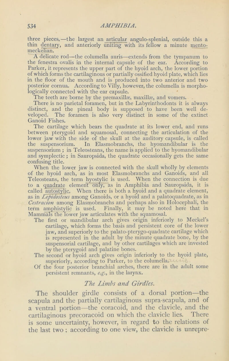 three pieces,—the largest an articular angulo-splenial, outside this a thin dentary, and anteriorly uniting with its fellow a minute mento- meckelian. A delicate rod—the columella auris—extends from the tympanum to the fenestra ovalis in the internal capsule of the ear. According to Parker, it represents the upper part of the hyoid arch, the lower portion of which forms the cartilaginous or partially ossified hyoid plate, which lies in the floor of the mouth and is produced into two anterior and two posterior cornua. According to Villy, however, the columella is morpho- logically connected with the ear capsule. The teeth are borne by the premaxillae, maxillae, and vomers. There is no parietal foramen, but in the Labyrinthodonts it is always distinct, and the pineal body is supposed to have been well de- veloped. The foramen is also very distinct in some of the extinct Ganoid Fishes. The cartilage which bears the quadrate at its lower end, and runs between pterygoid and squamosal, connecting the articulation of the lower jaw with the side of the skull at the auditory capsule, is called the suspensorium. In Elasmobranchs, the hyomandibular is the suspensorium ; in Teleosteans, the name is applied to the hyomandibular and symplectic ; in Sauropsida, the quadrate occasionally gets the same confusing title. When the lower jaw is connected with the skull wholly by elements of the hyoid arch, as in most Elasmobranchs and Ganoids, and all Teleosteans, the term hyostylic is used. When the connection is due to a quadrate element” only, as in Amphibia and Sauropsida, it is called autostylic. When there is both a hyoid and a quadrate element, as in Hepidosteus among Ganoids, or a hyoid and a palatoquadrate, as in Cestracion among Elasmobranchs and perhaps also in Ilolocephali, the term amphistylic is used. Finally, it may be noted here that in Mammals the lower jaw articulates with the squamosal. The first or mandibular arch gives origin inferiorly to Meckel’s cartilage, which forms the basis and persistent core of the lower jaw, and superiorly to the palato-pterygo-quadrate cartilage which is represented in the adult by the minute quadrate bone, by the suspensorial cartilage, and by other cartilages which are invested by the pterygoid and palatine bones. The second or hyoid arch gives origin inferiorly to the hyoid plate, superiorly, according to Parker, to the columella. Of the four posterior branchial arches, there are in the adult some persistent remnants, eg, in the larynx. The Limbs and Girdles. The shoulder girdle consists of a dorsal portion—the scapula and the partially cartilaginous supra-scapula, and of a ventral portion—the coracoid, and the clavicle, and the cartilaginous precoracoid on which the clavicle lies. There is some uncertainty, however, in regard to the relations of the last two ; according to one view, the clavicle is unrepre-
