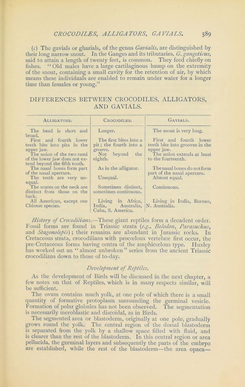(e) The gavials or gharials, of the genus Gavialis, are distinguished by their long narrow snout. In the Ganges and its tributaries, G. gangeticus, said to attain a length of twenty feet, is common. They feed chiefly on fishes. “Old males have a large cartilaginous hump on the extremity of the snout, containing a small cavity for the retention of air, by which means these individuals are enabled to remain under water for a longer time than females or young.” DIFFERENCES BETWEEN CROCODILES, ALLIGATORS, AND GAVIALS. Alligators. The head is short and broad. First and fourth lower teeth bite into pits in the upper jaw. The union of the two rami of the lower jaw does not ex- tend beyond the fifth tooth. The nasal bones form part of the nasal aperture. The teeth are very un- equal. The scutes on the neck are distinct from those on the back. All American, except one Chinese species. Crocodiles. Longer. The first bites into a pit; the fourth into a groove. Not beyond the eighth. As in the alligator. Unequal. Sometimes distinct, sometimes continuous. Living in Africa, India, Australia, Cuba, S. America. Gavials. The snout is very long. First and fourth lower teeth bite into grooves in the upper jaw. The union extends at least to the fourteenth. Thenasal bones do notform part of the nasal aperture. Almost equal. Continuous. Living in India, Borneo, N. Australia. History of Crocodilians.—These giant reptiles form a decadent order. Fossil forms are found in Triassic strata {e.g., Belodon, Parasuchus, and Stagonolepis); their remains are abundant in Jurassic rocks. In Cretaceous strata, crocodilians with proccelous vertebrae first occur, the pre-Cretaceous forms having centra of the amphicoelous type. Huxley has worked out an “almost unbroken” series from the ancient Triassic crocodilians down to those of to-day. Development of Reptiles. As the development of Birds will be discussed in the next chapter, a few notes on that of Reptiles, which is in many respects similar, will be sufficient. The ovum contains much yolk, at one pole of which there is a small quantity of formative protoplasm surrounding the germinal vesicle. Formation of polar globules has not been observed. The segmentation is necessarily meroblastic and discoidal, as in Birds. The segmented area or blastoderm, originally at one pole, gradually grows round the yolk. The central region of the dorsal blastoderm is separated from the yolk by a shallow space filled with fluid, and is clearer than the rest of the blastoderm. In this central region or area pellucida, the germinal layers and subsequently the parts of the embryo are established, while the rest of the blastoderm—the area opaca—