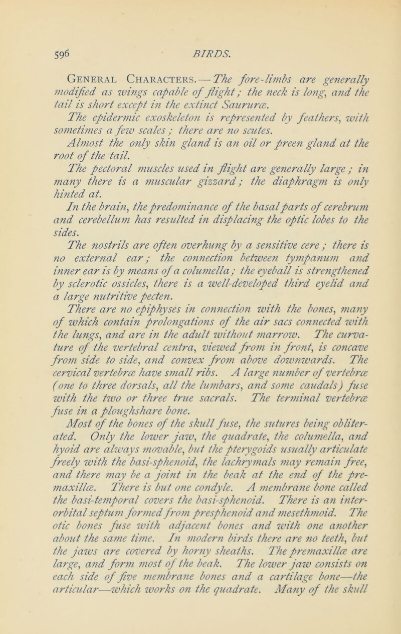 General Characters. — The fore-limbs are generally .modified as wings capable of flight; the neck is long, and the tail is short except in the extinct Saururce. The epidermic exoskeletoji is represented by feathers, with sometimes a few scales ; there are no scutes. Almost the only skin gland is an oil or preen gland at the root of the tail. The pectoral muscles used i?i flight are generally large ; i?i ?nany there is a muscular gizzard; the diaphragm is only hinted at. In the brain, the predominance of the basal parts of cerebrum and cerebellum has resulted in displacing the optic lobes to the sides. The nostrils are often overhung by a se?isitive cere ; there is no external ear; the connection between tympanum and inner ear is by means of a columella ; the eyeball is strengthened by sclerotic ossicles, there is a well-developed third eyelid and a large nutritive pecten. There are no epiphyses in connection ivith the bones, ma?iy of which contain prolongations of the air sacs connected ivith the lungs, and are in the adult without marrow. The curva- ture of the vertebral centra, viewed from in front, is concave from side to side, and coiivex from above dow?iwards. The cervical vertebrae have small ribs. A large number of vertebra. (one to three dorsals, all the lumbars, and some caudals) fuse with the two or three true sacrals. The terminal vertebrae fuse in a ploughshare bone. Most of the bones of the skull fuse, the sutures beifig obliter- ated. Only the lower jaw, the quadrate, the columella, and hyoid are always movable, but the pterygoids usually articulate freely with the basi-sphenoid, the lachrymals may remain free, and there may be a joint i?i the beak at the end of the pre- maxillce. There is but one condyle. A membrane bone called the basi-temporal covers the basi-sphenoid. There is an inter- orbital septum formed from presphe?ioid and mesethmoid. The otic bones fuse with adjacent bo?ics and with one a?iother about the same time. In modern birds there are no teeth, but the jaws are covered by horny sheaths. The premaxi lice are large, and form most of the beak. The lower jaw consists on each side of five membrane bones and a cartilage bo?ie—the articular—which works on the quadrate. Many of the skull
