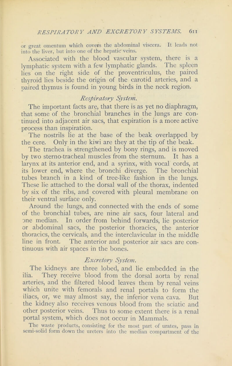 or great omentum which covers the abdominal viscera. It leads not into the liver, but into one of the hepatic veins. Associated with the blood vascular system, there is a lymphatic system with a few lymphatic glands. The spleen lies on the right side of the proventriculus, the paired thyroid lies beside the origin of the carotid arteries, and a paired thymus is found in young birds in the neck region. Respiratory System. The important facts are, that there is as yet no diaphragm, that some of the bronchial branches in the lungs are con- tinued into adjacent air sacs, that expiration is a more active process than inspiration. The nostrils lie at the base of the beak overlapped by the cere. Only in the kiwi are they at the tip of the beak. The trachea is strengthened by bony rings, and is moved by two sterno-tracheal muscles from the sternum. It has a larynx at its anterior end, and a syrinx, with vocal cords, at its lower end, where the bronchi diverge. The bronchial tubes branch in a kind of tree-like fashion in the lungs. These lie attached to the dorsal wall of the thorax, indented by six of the ribs, and covered with pleural membrane on their ventral surface only. Around the lungs, and connected with the ends of some of the bronchial tubes, are nine air sacs, four lateral and one median. In order from behind forwards, lie posterior or abdominal sacs, the posterior thoracics, the anterior thorac.ics, the cervicals, and the interclavicular in the middle line in front. The anterior and posterior air sacs are con- tinuous with air spaces in the bones. Excretory Syste?n. The kidneys are three lobed, and lie embedded in the ilia. They receive blood from the dorsal aorta by renal arteries, and the filtered blood leaves them by renal veins which unite with femorals and renal portals to form the iliacs, or, we may almost say, the inferior vena cava. But the kidney also receives venous blood from the sciatic and other posterior veins. Thus to some extent there is a renal portal system, which does not occur in Mammals. The waste products, consisting for the most part of urates, pass in semi-solid form down the ureters into the median compartment of the