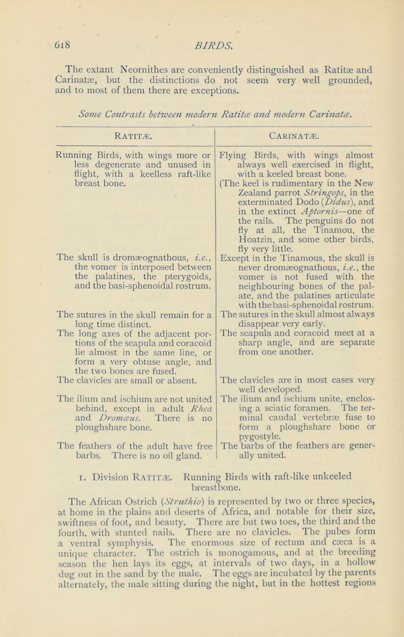 The extant Neornithes are conveniently distinguished as Ratitae and Carinatae, but the distinctions do not seem very well grounded, and to most of them there are exceptions. Some Contrasts between modern Ratitce and modern Carinatce. Ratitas. Carinatve. Running Birds, with wings more or less degenerate and unused in flight, with a keelless raft-like breast bone. The skull is dromaeognathous, i.e., the vomer is interposed between the palatines, the pterygoids, and the basi-sphenoidal rostrum. The sutures in the skull remain for a long time distinct. The long axes of the adjacent por- tions of the scapula and coracoid lie almost in the same line, or form a very obtuse angle, and the two bones are fused. The clavicles are small or absent. The ilium and ischium are not united behind, except in adult Rhea and Dromceus. There is no ploughshare bone. The feathers of the adult have free barbs. There is no oil gland. Flying Birds, with wings almost always well exercised in flight, with a keeled breast bone. (The keel is rudimentary in the New Zealand parrot Stringops, in the exterminated Dodo (Didus), and in the extinct Aptornis—one of the rails. The penguins do not fly at all, the Tinamou, the Hoatzin, and some other birds, fly very little. Except in the Tinamous, the skull is never dromaeognathous, i.e., the vomer is not fused with the neighbouring bones of the pal- ate, and the palatines articulate with the basi-sphenoidal rostrum. The sutures in the skull almost always disappear very early. The scapula and coracoid meet at a sharp angle, and are separate from one another. The clavicles are in most cases very well developed. The ilium and ischium unite, enclos- ing a sciatic foramen. The ter- minal caudal vertebrae fuse to form a ploughshare bone or pygostyle. The barbs of the feathers are gener- ally united. i. Division Ratitve. Running Birds with raft-like unkeeled breastbone. The African Ostrich (Strut/no) is represented by two or three species, at home in the plains and deserts of Africa, and notable for their size, swiftness of foot, and beauty. There are but two toes, the third and the fourth, with stunted nails. There are no clavicles. The pubes form a ventral symphysis. The enormous size of rectum and coeca is a unique character. The ostrich is monogamous, and at the breeding season the hen lays its eggs, at intervals of two days, in a hollow dug out in the sancl by the male. The eggs are incubated by the parents alternately, the male sitting during the night, but in the hottest regions