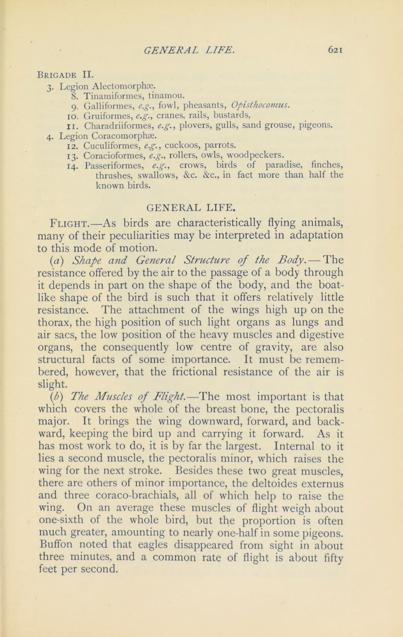 Brigade II. 3. Legion Alectomorphce. 8. Tinamiformes, tinamou. 9. Galliformes, e.g., fowl, pheasants, Opisthocoimis. 10. Gruiformes, e.g., cranes, rails, bustards, 11. Charadriiformes, e.g., plovers, gulls, sand grouse, pigeons. 4. Legion Coracomorphoe. 12. Cuculiformes, e.g., cuckoos, parrots. 13. Coracioformes, e.g., rollers, owls, woodpeckers. 14. Passeriformes, e.g., crows, birds of paradise, finches, thrushes, swallows, &c. &c., in fact more than half the known birds. GENERAL LIFE. Flight.—As birds are characteristically flying animals, many of their peculiarities may be interpreted in adaptation to this mode of motion. (a) Shape and Ge?ieral Structure of the Body. — The resistance offered by the air to the passage of a body through it depends in part on the shape of the body, and the boat- like shape of the bird is such that it offers relatively little resistance. The attachment of the wings high up on the thorax, the high position of such light organs as lungs and air sacs, the low position of the heavy muscles and digestive organs, the consequently low centre of gravity, are also structural facts of some importance. It must be remem- bered, however, that the frictional resistance of the air is slight. (h) The Muscles of Flight.—The most important is that which covers the whole of the breast bone, the pectoralis major. It brings the wing downward, forward, and back- ward, keeping the bird up and carrying it forward. As it has most work to do, it is by far the largest. Internal to it lies a second muscle, the pectoralis minor, which raises the wing for the next stroke. Besides these two great muscles, there are others of minor importance, the deltoides externus and three coraco-brachials, all of which help to raise the wing. On an average these muscles of flight weigh about one-sixth of the whole bird, but the proportion is often much greater, amounting to nearly one-half in some pigeons. Buffon noted that eagles disappeared from sight in about three minutes, and a common rate of flight is about fifty feet per second.