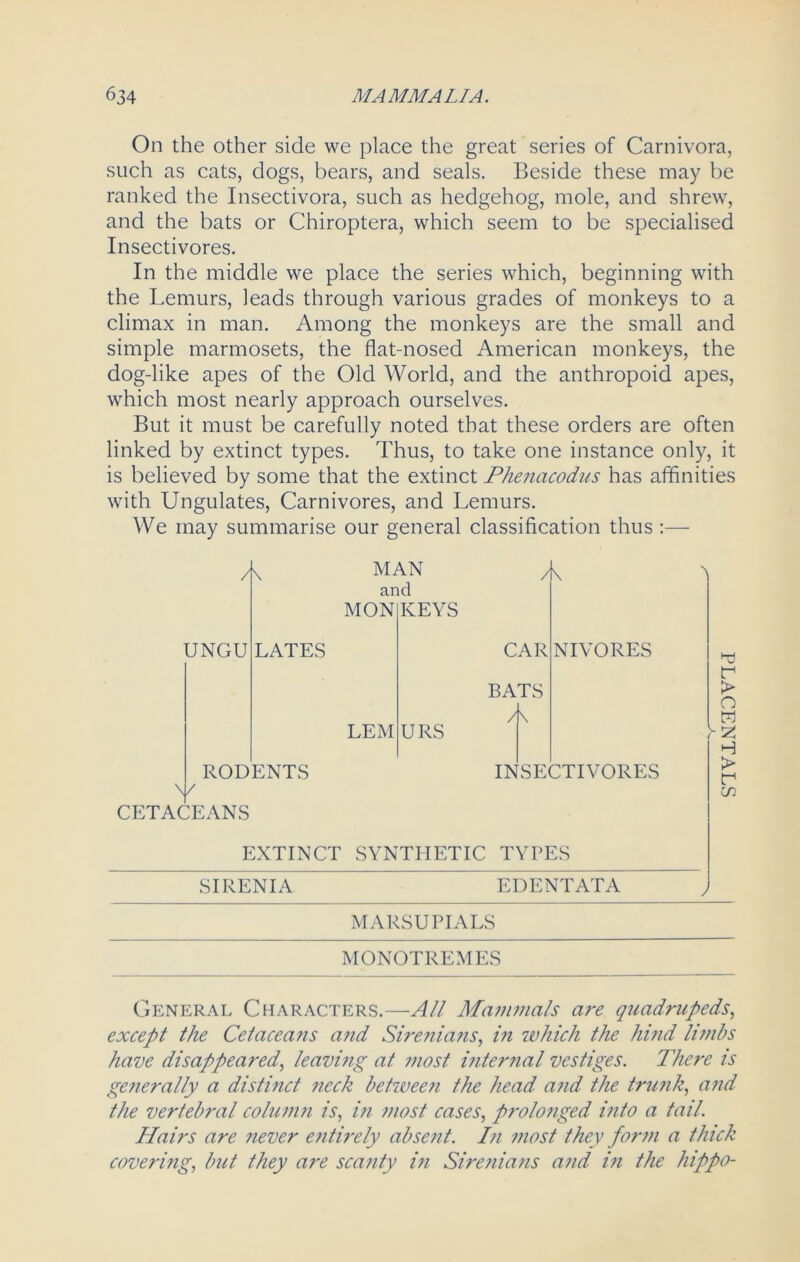 On the other side we place the great series of Carnivora, such as cats, dogs, bears, and seals. Beside these may be ranked the Insectivora, such as hedgehog, mole, and shrew, and the bats or Chiroptera, which seem to be specialised Insectivores. In the middle we place the series which, beginning with the Lemurs, leads through various grades of monkeys to a climax in man. Among the monkeys are the small and simple marmosets, the flat-nosed American monkeys, the dog-like apes of the Old World, and the anthropoid apes, which most nearly approach ourselves. But it must be carefully noted that these orders are often linked by extinct types. Thus, to take one instance only, it is believed by some that the extinct Phenacodus has affinities with Ungulates, Carnivores, and Lemurs. We may summarise our general classification thus :— /\ UNGU Y CETACEANS MAN and /\ MON LATES LEM KEYS URS RODENTS NI VORES CAR BATS /\ INSECTIVORES ■\ r > o H > r in EXTINCT SYNTHETIC TYPES SIRENIA EDENTATA MARSUPIALS MONOTREMES General Characters.—All Mammals are quadrupeds, except the Cetaceans and Sirenians, in which the hi?id limbs have disappeared, leaving at most internal vestiges. There is generally a distinct neck betwee?i the head and the trunk, and the vertebral column is, in most cases, prolonged into a tail. Hairs are never entirely absent. I)i most they form a thick covering, but they are scanty in Sirenians and in the hippo-