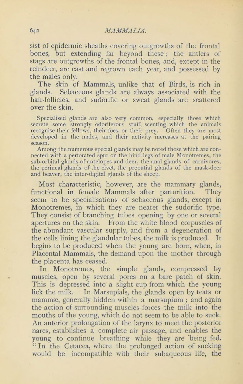 sist of epidermic sheaths covering outgrowths of the frontal bones, but extending far beyond these; the antlers of stags are outgrowths of the frontal bones, and, except in the reindeer, are cast and regrown each year, and possessed by the males only. The skin of Mammals, unlike that of Birds, is rich in glands. Sebaceous glands are always associated with the hair-follicles, and sudorific or sweat glands are scattered over the skin. Specialised glands are also very common, especially those which secrete some strongly odoriferous stuff, scenting which the animals recognise their fellows, their foes, or their prey. Often they are most developed in the males, and their activity increases at the pairing season. Among the numerous special glands may be noted those which are con- nected with a perforated spur on the hind-legs of male Monotremes, the sub-orbital glands of antelopes and deer, the anal glands of carnivores, the perineal glands of the civet, the preputial glands of the musk-deer and beaver, the inter-digital glands of the sheep. Most characteristic, however, are the mammary glands, functional in female Mammals after parturition. They seem to be specialisations of sebaceous glands, except in Monotremes, in which they are nearer the sudorific type. They consist of branching tubes opening by one or several apertures on the skin. From the white blood corpuscles of the abundant vascular supply, and from a degeneration of the cells lining the glandular tubes, the milk is produced. It begins to be produced when the young are born, when, in Placental Mammals, the demand upon the mother through the placenta has ceased. In Monotremes, the simple glands, compressed by muscles, open by several pores on a bare patch of skin. This is depressed into a slight cup from which the young lick the milk. In Marsupials, the glands open by teats or mammae, generally hidden within a marsupium ; and again the action of surrounding muscles forces the milk into the mouths of the young, which do not seem to be able to suck. An anterior prolongation of the larynx to meet the posterior nares, establishes a complete air passage, and enables the young to continue breathing while they are being fed. “ In the Cetacea, where the prolonged action of sucking would be incompatible with their subaqueous life, the