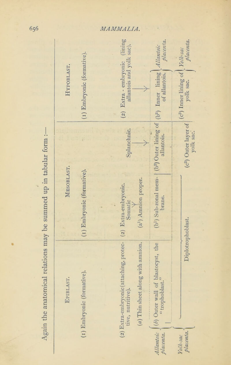 Again the anatomical relations may be summed up in tabular form : r-1 in < iJ « w OJ > *-4 ci £ a. cj q o b a s w tr.) c o — ctf .u o ^ £ o cj S .22 u o ■4—1 - • C ci s- 33 X W -> £ ■^si O 6 .3 ci c 1/3 33 <L> O c ^ c m CJ a rC CJ _ c Ci la c/) > c o •— aj a o j-. a .0 x o - 1 ->-'3 i a 3 OJ ' V s 2 5 — in X W <3 ci cj oj ■4—I o a th c • ^4 rC CJ c3 4—» 4—» ci o • •a « o .3, ^-3 >—, » £ 0) I C3 J-. 4—» X H H' c o • rH G a ci a 30 G O *3 4-* 0) X in C 3 H a; t/3 CJ o 4—> If) c3 3 £ # O J a a ci O a ? a oj >3 43 <3 Ci >*> •s» *» N JS <v ^ O CJ 3 ci n ~ a £ O 3 (N o tn 3 a o a a o k-i a Q S I £ ^