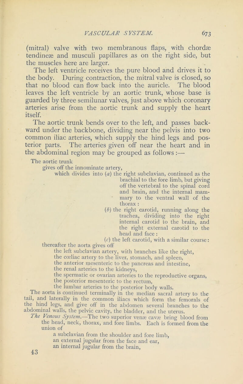 (mitral) valve with two membranous flaps, with chordae tendineae and musculi papillares as on the right side, but the muscles here are larger. The left ventricle receives the pure blood and drives it to the body. During contraction, the mitral valve is closed, so that no blood can flow back into the auricle. The blood leaves the left ventricle by an aortic trunk, whose base is guarded by three semilunar valves, just above which coronary arteries arise from the aortic trunk and supply the heart itself. The aortic trunk bends over to the left, and passes back- ward under the backbone, dividing near the pelvis into two common iliac arteries, which supply the hind legs and pos- terior parts. The arteries given off near the heart and in the abdominal region may be grouped as follows :— The aortic trunk gives off the innominate artery, which divides into [a) the right subclavian, continued as the brachial to the fore limb, but giving off the vertebral to the spinal cord and brain, and the internal mam- mary to the ventral wall of the thorax : (b) the right carotid, running along the trachea, dividing into the right internal carotid to the brain, and the right external carotid to the head and face : (<:) the left carotid, with a similar course: thereafter the aorta gives off the left subclavian artery, with branches like the right, the coeliac artery to the liver, stomach, and spleen, the anterior mesenteric to the pancreas and intestine, the renal arteries to the kidneys, the spermatic or ovarian arteries to the reproductive organs, the posterior mesenteric to the rectum, the lumbar arteries to the posterior body walls. The aorta is continued terminally in the median sacral artery to the tail, and laterally in the common iliacs which form the femorals of the hind legs, and give off in the abdomen several branches to the abdominal walls, the pelvic cavity, the bladder, and the uterus. The Venous System.—The two superior venae cavie bring blood from the head, neck, thorax, and fore limbs. Each is formed from the union of a subclavian from the shoulder and fore limb, an external jugular from the face and ear, an internal jugular from the brain, 43