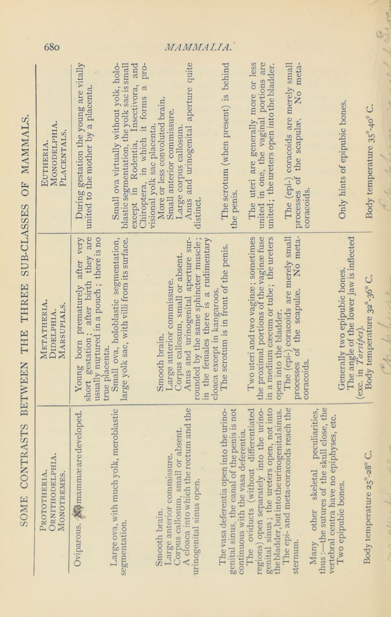 SOME CONTRASTS BETWEEN THE THREE SUB-CLASSES OF MAMMALS. K ^ < J < £ W H r 1 Q ^ ® z 0 £ o ^ L 2* -J 13 h c rt q; s>l rf a *-> s-. r. 03 o a 2 s A-i (/} |8 CO rt £ c3 p. rt rt ^ CJ o 00 ££ 4G >n G ^ •rf <U ►-1 • £ .c •*-> -42 rf a rt rt v <v tx03 bf o C S T3 P 03 Q •- 5 +H rfH .2 c> — 03 ^ rf 13 rf o c SoL p O b/3 G s- 03 •’- 03 ^ CO r d o r B ’£ S' ° nM as- 3 Su- rf 1h 43 Tj 03 C G 03 42 g O rf > 3. S o o o t/3 1/1 u> m k£ 03 3 u >' o -rf 03 rf 1- c o o i/5 03 s- P </) rf 22 £ g P 3 1/3 S3 8 3 ^ 0 o w cr <u <u a rf 3 <u b/3 o G ’C G 5 a rf 1- -rf £ g c rt 0 rf -h 03 rf b/3 2 rf rf rf rf T3 C 3 03 43 C a; co <d h (U O 0 w CO £ <D a; co a) . • c/) h *h a) aj v *—• T3 • co Tj O G rt °3 03 rf ^ 1-1-03 O O 42 rf n. — C O 3“p p S So g o> re rf a o G > 03 bJ3 CD co CD CD J-< Cj « CD CD b a $ O (D jc rt +-> 3 m h < 3 42 h a, 03 03 rf! T3 -G 03 03 H rf rf P P p h rf is s G in g fl CD ^ S CD • m S .3 3 8 S 2 03 OP o -• .rl O a fl) CO CO (D '■a co • — <D co O <D O O cj O u % O CL O CO CD o rD o is a (D U-. O CO +-> r—1 3 3 O u °o rf- I o LO co CD 33 ■*-» rt u <D a E CD 4-> >. t: o CQ <3 £ ^ CO ►D CzJ Cd C Q ^ O W y os £ H O 5 S5 £ o 03 C 03 .2.8 T3 03 a, 3 > 03 T3 03 1- rf a B o >- rf a w rf 3 o >- 03 X 3 >> x 03 - c rf O o‘8 CD •*-* bfl G 1- 03 s s ►-1 b/) 03 in ■- ^ 03 ‘ 03 w X 03 ^ P o t/l —1 1/3 — •rf rf S S g </) 8 g“ • p p c c w rf -*—» G <D as p-o s- s £ .22 3 03 a, 03 X in 03 in 03 in >h S3 03 03 rf .rf rf rf -P 3 a.22 rf <n 03 03 P bf)'*-' in O 9, - 2 p b o rf t; b/) 1- c rf 03 rf .g rf 1- 43 03 C 03 rf -d rf (/) 03 P O O mJU b/3 Q- i- s- rt O rf -P -rf 1/3 03 in .5 c ~ rf 33 8 2 X 03 03 in P 3 g rf 03 C gp qrf CD K rf S3 5 O b/3 ^3 in rf w .- > K 2 03 S'S'3 bag? > in o 2 O rf c W S 3^o 83; 03 8 8 rf p a rf 0; in _ 03 o T3 c a rf rf £ £ 'x T3 O 03 1- 3 ,G .p o . in 1- 03 .rf rfj o TJ g rf rf 03 3 o 3 03 °u- Jrf rf o < O c -rf 1- .rf 03 h C- 03 X 0 S' <n J2 s-. p£ 03 T3 ^•5 4P C 03 pH a, c 03 03 O rf D. O 03 >- rf in in 03 .G — . X rf c g ^ X § rf 3 1- 03 O 03 •rf 03 m .rf 1 • ■*—• a a X CD CL- ,0) s s —. CD rt jrt r-1 +-j o c c -3 & X 0 > <£> Ih rf ? S 0 25 CD rt u X X G o o rf rf ■ ~ C O rf rf P to g - rf 03 p G b D Q- O l . . r~> o a 4—J • — C^ O O .5 ~ 'V, cn rt * CD rC G O&glS .s^-g's p£p« a ° rt o or_ w 2 O rf rf 4G rf c >.rf X rf 03 & C 03 -C ^—- 03 03 ^ 1- rf — t/3 D ^ -rt 4-» 6 2 C C • <D - <D w CD ’ll T5 CD O CD ert . rt CD w § > JG rf .2 U ^ « p & a o U o 10 ro ■ o CO CO > 03 P-1 03 . 03 r> *; to rt a3 50 CL rt j-. CD c aj CD X2 Oh bdr~ c N rf c 03 C >> ■— X3 • O CD O <D X _r- bgo c-.rf 8 ■*-* C P w 03 03 X O a bfl.rf rf o o 0 p r U 8-c g >^03 rf g 03 03 03 03 *-> 0- ' rf -- rf ‘C 03“ ^ .5 8 rf U/J U, Jrf jr 1- 1. o oO d rt O ° O r/3 j CJ <! P 03 . T) rt ’_J W G rt -53 CD rt Jrt rt h c 03 bo 03 o ■> p G3 'r 2S rf 03 G rg G h o _ 4-* O 03 !D rf rt vv U4 &2.5 w rt Tj ■g 3 -2 p o 11 ± c rt P g P .2 — S [g P b/3 £ g h 03 Kr.-P U, 0/) 4-» hi o CJ CD srt a rt m 13 « *-> (D -*-* 13 u- ^ o 1/5 c/) CD i-H rt h. CD *G CD c/) rt in W CD XI § j. ‘rf 1/3 P 43 w 03 in >. X a 'a 03 o C i/5 03 g > G rt O .G-P rf .g C P 03 a, o a 03 rf O tH CD > u o 00 CN o’ OJ rt h CD a E <D 4-3 >, T3 O tt