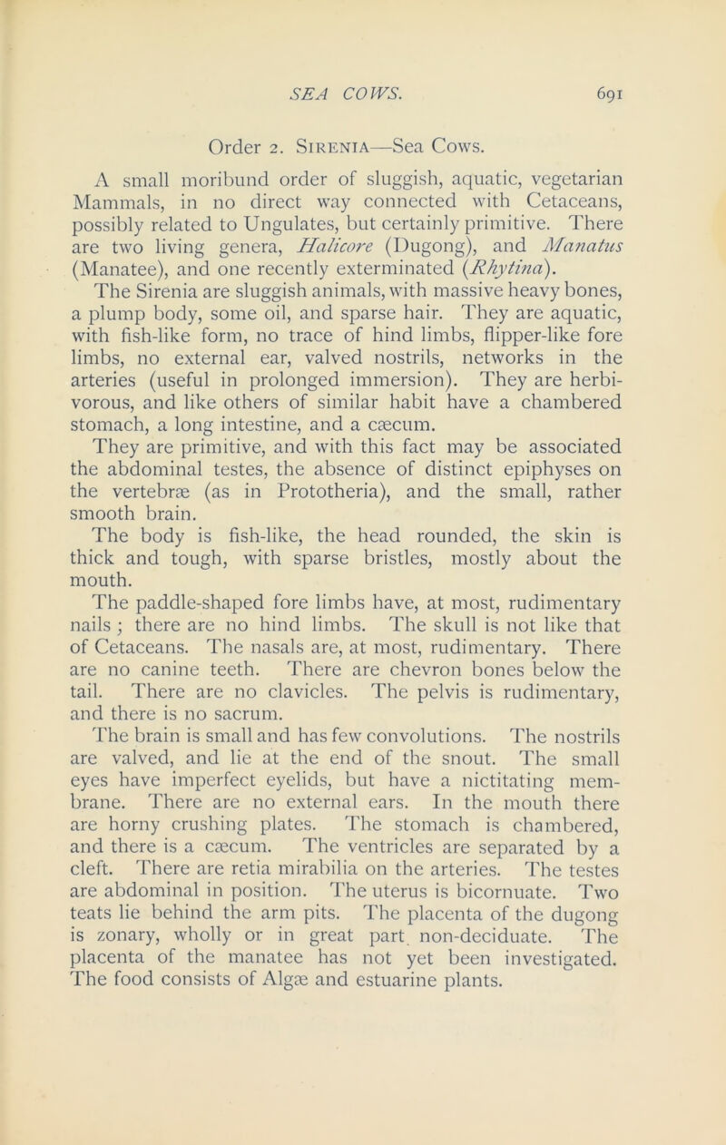 Order 2. Sirenia—Sea Cows. A small moribund order of sluggish, aquatic, vegetarian Mammals, in no direct way connected with Cetaceans, possibly related to Ungulates, but certainly primitive. There are two living genera, Halicore (Dugong), and Manatus (Manatee), and one recently exterminated (Rhytina). The Sirenia are sluggish animals, with massive heavy bones, a plump body, some oil, and sparse hair. They are aquatic, with fish-like form, no trace of hind limbs, flipper-like fore limbs, no external ear, valved nostrils, networks in the arteries (useful in prolonged immersion). They are herbi- vorous, and like others of similar habit have a chambered stomach, a long intestine, and a caecum. They are primitive, and with this fact may be associated the abdominal testes, the absence of distinct epiphyses on the vertebrae (as in Prototheria), and the small, rather smooth brain. The body is fish-like, the head rounded, the skin is thick and tough, with sparse bristles, mostly about the mouth. The paddle-shaped fore limbs have, at most, rudimentary nails ; there are no hind limbs. The skull is not like that of Cetaceans. The nasals are, at most, rudimentary. There are no canine teeth. There are chevron bones below the tail. There are no clavicles. The pelvis is rudimentary, and there is no sacrum. The brain is small and has few convolutions. The nostrils are valved, and lie at the end of the snout. The small eyes have imperfect eyelids, but have a nictitating mem- brane. There are no external ears. In the mouth there are horny crushing plates. The stomach is chambered, and there is a caecum. The ventricles are separated by a cleft. There are retia mirabilia on the arteries. The testes are abdominal in position. The uterus is bicornuate. Two teats lie behind the arm pits. The placenta of the dugong is zonary, wholly or in great part non-deciduate. The placenta of the manatee has not yet been investigated. The food consists of Algce and estuarine plants.