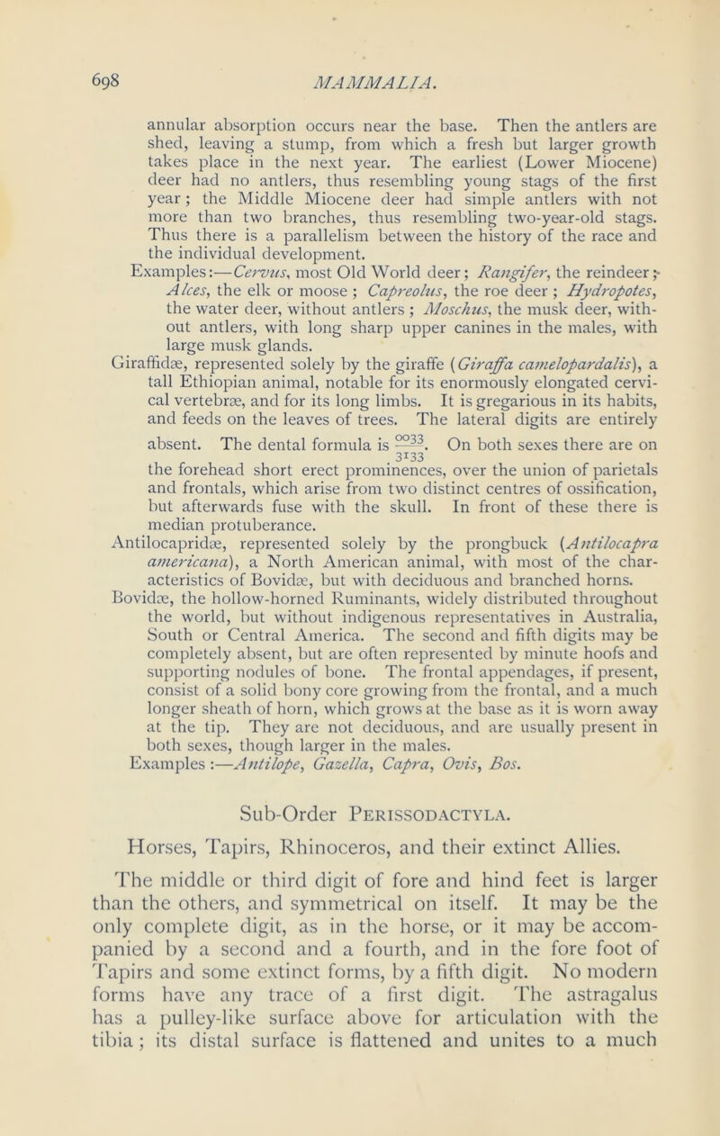 annular absorption occurs near the base. Then the antlers are shed, leaving a stump, from which a fresh but larger growth takes place in the next year. The earliest (Lower Miocene) deer had no antlers, thus resembling young stags of the first year; the Middle Miocene deer had simple antlers with not more than two branches, thus resembling two-year-old stags. Thus there is a parallelism between the history of the race and the individual development. Examples:—Cervus, most Old World deer; Rangifer, the reindeer A Ices, the elk or moose ; Capreolus, the roe deer ; Hydropotes, the water deer, without antlers ; Moschus, the musk deer, with- out antlers, with long sharp upper canines in the males, writh large musk glands. Giraffidse, represented solely by the giraffe (Giraffa Camelopardalis), a tall Ethiopian animal, notable for its enormously elongated cervi- cal vertebra, and for its long limbs. It is gregarious in its habits, and feeds on the leaves of trees. The lateral digits are entirely absent. The dental formula is 2533. On both sexes there are on 3133 the forehead short erect prominences, over the union of parietals and frontals, which arise from two distinct centres of ossification, but afterwards fuse with the skull. In front of these there is median protuberance. Antilocaprida, represented solely by the prongbuck (Antilocapra americana), a North American animal, with most of the char- acteristics of Bovkke, but with deciduous and branched horns. Bovidue, the hollow-horned Ruminants, widely distributed throughout the world, but without indigenous representatives in Australia, South or Central America. The second and fifth digits may be completely absent, but are often represented by minute hoofs and supporting nodules of bone. The frontal appendages, if present, consist of a solid bony core growing from the frontal, and a much longer sheath of horn, which grows at the base as it is worn away at the tip. They are not deciduous, and are usually present in both sexes, though larger in the males. Examples :—Antilope, Gasella, Capra, Ovis, Bos. Sub-Order Perissodactyla. Horses, Tapirs, Rhinoceros, and their extinct Allies. The middle or third digit of fore and hind feet is larger than the others, and symmetrical on itself. It may be the only complete digit, as in the horse, or it may be accom- panied by a second and a fourth, and in the fore foot of Tapirs and some extinct forms, by a fifth digit. No modern forms have any trace of a first digit. The astragalus has a pulley-like surface above for articulation with the tibia; its distal surface is flattened and unites to a much