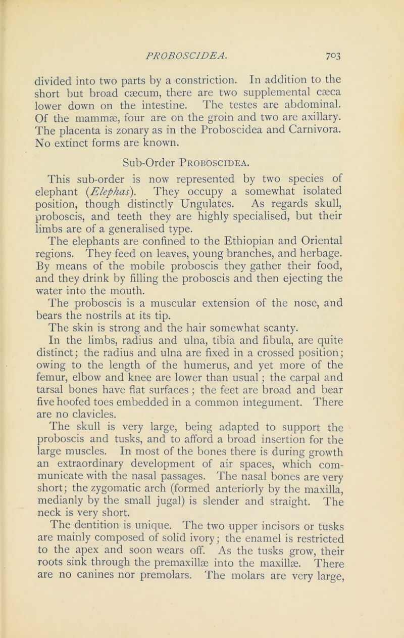 divided into two parts by a constriction. In addition to the short but broad csecum, there are two supplemental caeca lower down on the intestine. The testes are abdominal. Of the mammae, four are on the groin and two are axillary. The placenta is zonary as in the Proboscidea and Carnivora. No extinct forms are known. Sub-Order Proboscidea. This sub-order is now represented by two species of elephant (Elephas). They occupy a somewhat isolated position, though distinctly Ungulates. As regards skull, proboscis, and teeth they are highly specialised, but their limbs are of a generalised type. The elephants are confined to the Ethiopian and Oriental regions. They feed on leaves, young branches, and herbage. By means of the mobile proboscis they gather their food, and they drink by filling the proboscis and then ejecting the water into the mouth. The proboscis is a muscular extension of the nose, and bears the nostrils at its tip. The skin is strong and the hair somewhat scanty. In the limbs, radius and ulna, tibia and fibula, are quite distinct; the radius and ulna are fixed in a crossed position; owing to the length of the humerus, and yet more of the femur, elbow and knee are lower than usual; the carpal and tarsal bones have flat surfaces; the feet are broad and bear five hoofed toes embedded in a common integument. There are no clavicles. The skull is very large, being adapted to support the proboscis and tusks, and to afford a broad insertion for the large muscles. In most of the bones there is during growth an extraordinary development of air spaces, which com- municate with the nasal passages. The nasal bones are very short; the zygomatic arch (formed anteriorly by the maxilla, medianly by the small jugal) is slender and straight. The neck is very short. The dentition is unique. The two upper incisors or tusks are mainly composed of solid ivory; the enamel is restricted to the apex and soon wears off. As the tusks grow, their roots sink through the premaxillae into the maxillae. There are no canines nor premolars. The molars are very large,