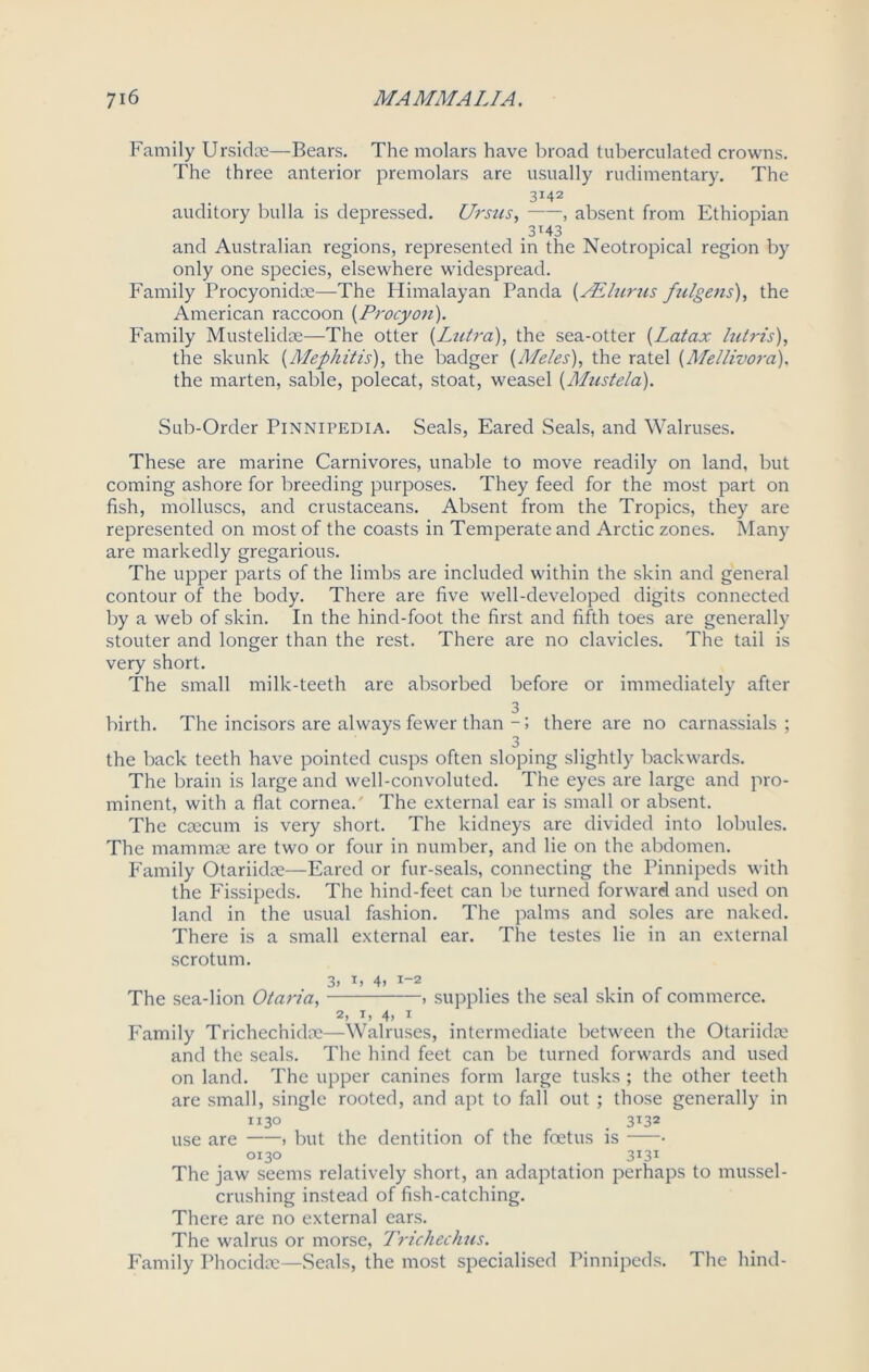 Family Ursidse—Bears. The molars have broad tuberculated crowns. The three anterior premolars are usually rudimentary. The 3H2 auditory bulla is depressed. Ursus, , absent from Ethiopian .3*43 and Australian regions, represented in the Neotropical region by only one species, elsewhere widespread. Family Procyonidm—The Himalayan Panda (AElzirus fulgens), the American raccoon (Procyon). Family Mustelidoe—The otter (Lutra), the sea-otter (Latax lutris), the skunk (Mephitis), the badger (Ale/es), the ratel (Mellivora), the marten, sable, polecat, stoat, weasel (Mustela). Sub-Order Pinnipedia. Seals, Eared Seals, and Walruses. These are marine Carnivores, unable to move readily on land, but coming ashore for breeding purposes. They feed for the most part on fish, molluscs, and crustaceans. Absent from the Tropics, they are represented on most of the coasts in Temperate and Arctic zones. Many are markedly gregarious. The upper parts of the limbs are included within the skin and general contour of the body. There are five well-developed digits connected by a web of skin. In the hind-foot the first and fifth toes are generally stouter and longer than the rest. There are no clavicles. The tail is very short. The small milk-teeth are absorbed before or immediately after 3 birth. The incisors are always fewer than - 5 there are no carnassials ; 3 . the back teeth have pointed cusps often sloping slightly backwards. The brain is large and well-convoluted. The eyes are large and pro- minent, with a fiat cornea. The external ear is small or absent. The caecum is very short. The kidneys are divided into lobules. The mammae are two or four in number, and lie on the abdomen. Family Otariidae—Eared or fur-seals, connecting the Pinnipeds with the Fissipeds. The hind-feet can be turned forward and used on land in the usual fashion. The palms and soles are naked. There is a small external ear. The testes lie in an external scrotum. 3> 4. 1-2 The sea-lion Otaria, » supplies the seal skin of commerce. 2, i, 4» i Family Trichechidae—Walruses, intermediate between the Otariidae and the seals. The hind feet can be turned forwards and used on land. The upper canines form large tusks ; the other teeth are small, single rooted, and apt to fall out ; those generally in ii3° _ _ . 3T32 use are > but the dentition of the foetus is • 0130 _ 3I3I The jaw seems relatively short, an adaptation perhaps to mussel- crushing instead of fish-catching. There are no external ears. The walrus or morse, Trichechus. Family Phocidce—Seals, the most specialised Pinnipeds. The hind-