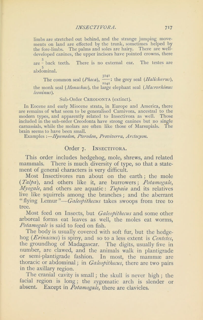 limbs are stretched out behind, and the strange jumping move- ments on land are effected by the trunk, sometimes helped by the fore-limbs. The palms and soles are hairy. There are well- developed canines, the upper incisors have pointed crowns, there are - back teeth. There is no external ear. The testes are 5 abdominal. 3I4I The common seal (Phoca), ; the grey seal (.Hahchcerus), 2I4I the monk seal (Monackus), the large elephant seal (Macrorhinus leoninus). Sub-Order Creodonta (extinct). In Eocene and early Miocene strata, in Europe and America, there are remains of what seem to be generalised Carnivora, ancestral to the modern types, and apparently related to Insectivora as well. Those included in the sub-order Creodonta have strong canines but no single carnassials, while the molars are often like those of Marsupials. The brain seems to have been small. Examples :—Hyamotion, Pterodon, Proviverra, Arctocyon. Order 7. Insectivora. This order includes hedgehog, mole, shrews, and related mammals. There is much diversity of type, so that a state- ment of general characters is very difficult. Most Insectivores run about on the earth; the mole (Talpa), and others like it, are burrowers; Potamogale, My0gale, and others are aquatic: Tupaia and its relatives live like squirrels among the branches; and the aberrant “flying Lemur”—Galeopithecus takes swoops from tree to tree. Most feed on Insects, but Galeopithecus and some other arboreal forms eat leaves as well, the moles eat worms, Potamogale is said to feed on fish. The body is usually covered with soft fur, but the hedge- hog (Erinaceus) is spiny, and so to a less extent is Centetes, the groundhog of Madagascar. The digits, usually five in number, are clawed, and the animals walk in plantigrade or semi-plantigrade fashion. In most, the mammae are thoracic or abdominal; in Galeopithecus, there are two pairs in the axillary region. The cranial cavity is small; the skull is never high; the facial region is long; the zygomatic arch is slender or absent. Except in Potamogale, there are clavicles.