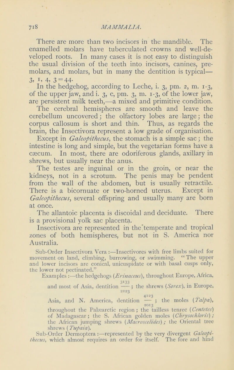 There are more than two incisors in the mandible. The enamelled molars have tuberculated crowns and well-de- veloped roots. In many cases it is not easy to distinguish the usual division of the teeth into incisors, canines, pre- molars, and molars, but in many the dentition is typical— 3> T 4, 3= 44- In the hedgehog, according to Leche, i. 3, pm. 2, m. 1-3, of the upper jaw, and i. 3, c, pm. 3, m. 1-3, of the lower jaw, are persistent milk teeth,—a mixed and primitive condition. The cerebral hemispheres are smooth and leave the cerebellum uncovered; the olfactory lobes are large; the corpus callosum is short and thin. Thus, as regards the brain, the Insectivora represent a low grade of organisation. Except in Galeopithecus, the stomach is a simple sac; the intestine is long and simple, but the vegetarian forms have a oecum. In most, there are odoriferous glands, axillary in shrews, but usually near the anus. The testes are inguinal or in the groin, or near the kidneys, not in a scrotum. The penis may be pendent from the wall of the abdomen, but is usually retractile. There is a bicornuate or two-horned uterus. Except in Galeopithecus, several offspring and usually many are born at once. The allantoic placenta is discoidal and deciduate. There is a provisional yolk sac placenta. Insectivora are represented in theTemperate and tropical zones of both hemispheres, but not in S. America nor Australia. Sub-Order Insectivora Vera :—Insectivores with free limbs suited for movement on land, climbing, burrowing, or swimming. “The upper and lower incisors are conical, unicuspidate or with basal cusps only, the lower not pectinated.” Examples :—the hedgehogs (Erinaceus), throughout Europe, Africa, 3133 and most of Asia, dentition ; the shrews (Sorex), in Europe, 2123 4123 Asia, and N. America, dentition — ; the moles (Talpa), 2013 throughout the Palcearctic region; the tailless tenrec (Centetes) of Madagascar; the S. African golden moles (Chrysochtoris) ; the African jumping shrews {Macroscelides) ; the Oriental tree shrews (Tupaia). Sub-Order Dermoptera :—represented by the very divergent Galeopi- thecus, which almost requires an order for itself. The fore and hind