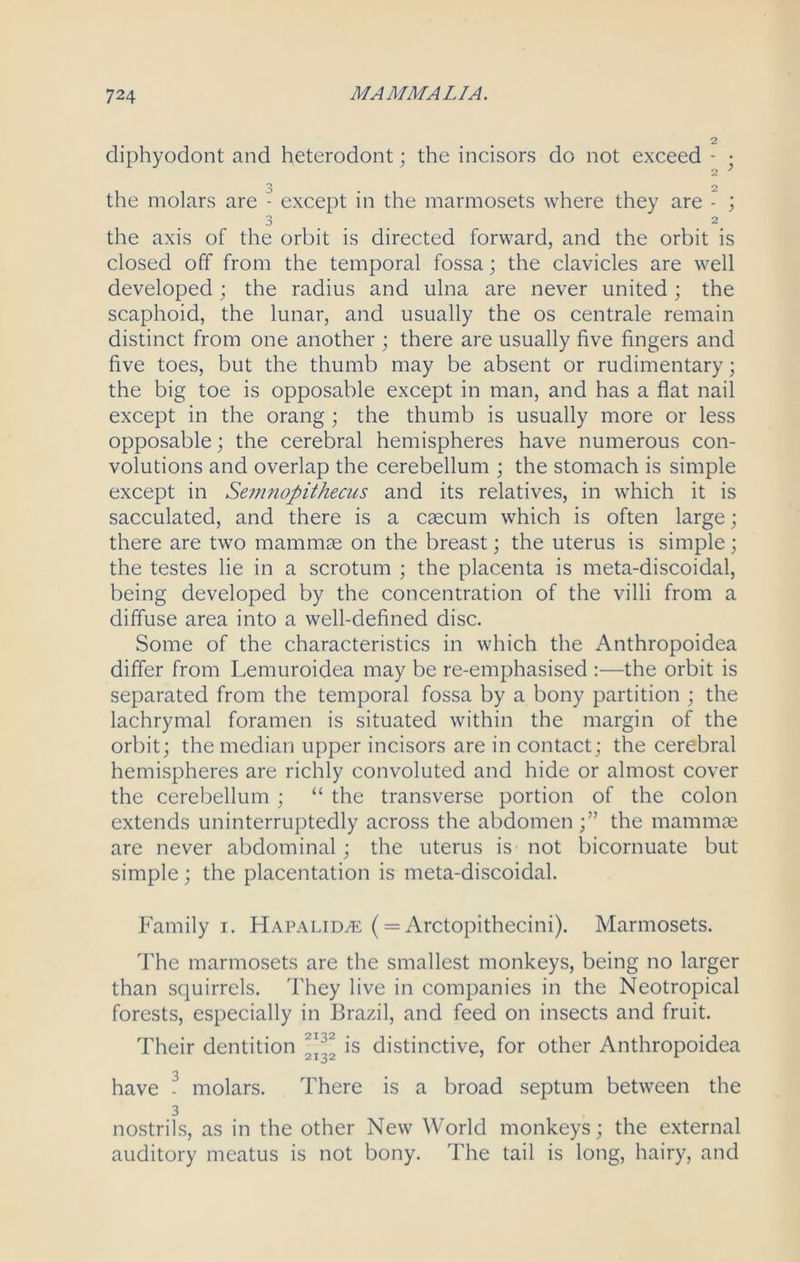 cliphyodont and heterodont; the incisors do not exceed - • the molars are - except in the marmosets where they are - ; 3 2 the axis of the orbit is directed forward, and the orbit is closed off from the temporal fossa; the clavicles are well developed; the radius and ulna are never united; the scaphoid, the lunar, and usually the os centrale remain distinct from one another ; there are usually five fingers and five toes, but the thumb may be absent or rudimentary; the big toe is opposable except in man, and has a flat nail except in the orang ; the thumb is usually more or less opposable; the cerebral hemispheres have numerous con- volutions and overlap the cerebellum ; the stomach is simple except in Semnopithecus and its relatives, in which it is sacculated, and there is a caecum which is often large; there are two mammae on the breast; the uterus is simple; the testes lie in a scrotum ; the placenta is meta-discoidal, being developed by the concentration of the villi from a diffuse area into a well-defined disc. Some of the characteristics in which the Anthropoidea differ from Lemuroidea may be re-emphasised :—the orbit is separated from the temporal fossa by a bony partition ; the lachrymal foramen is situated within the margin of the orbit; the median upper incisors are in contact; the cerebral hemispheres are richly convoluted and hide or almost cover the cerebellum ; “ the transverse portion of the colon extends uninterruptedly across the abdomen ;” the mammae are never abdominal; the uterus is not bicornuate but simple; the placentation is meta-discoidal. Family i. Hapalidte ( = Arctopithecini). Marmosets. The marmosets are the smallest monkeys, being no larger than squirrels. They live in companies in the Neotropical forests, especially in Brazil, and feed on insects and fruit. Their dentition ^ is distinctive, for other Anthropoidea have - molars. There is a broad septum between the 3 nostrils, as in the other New World monkeys; the external auditory meatus is not bony. The tail is long, hairy, and