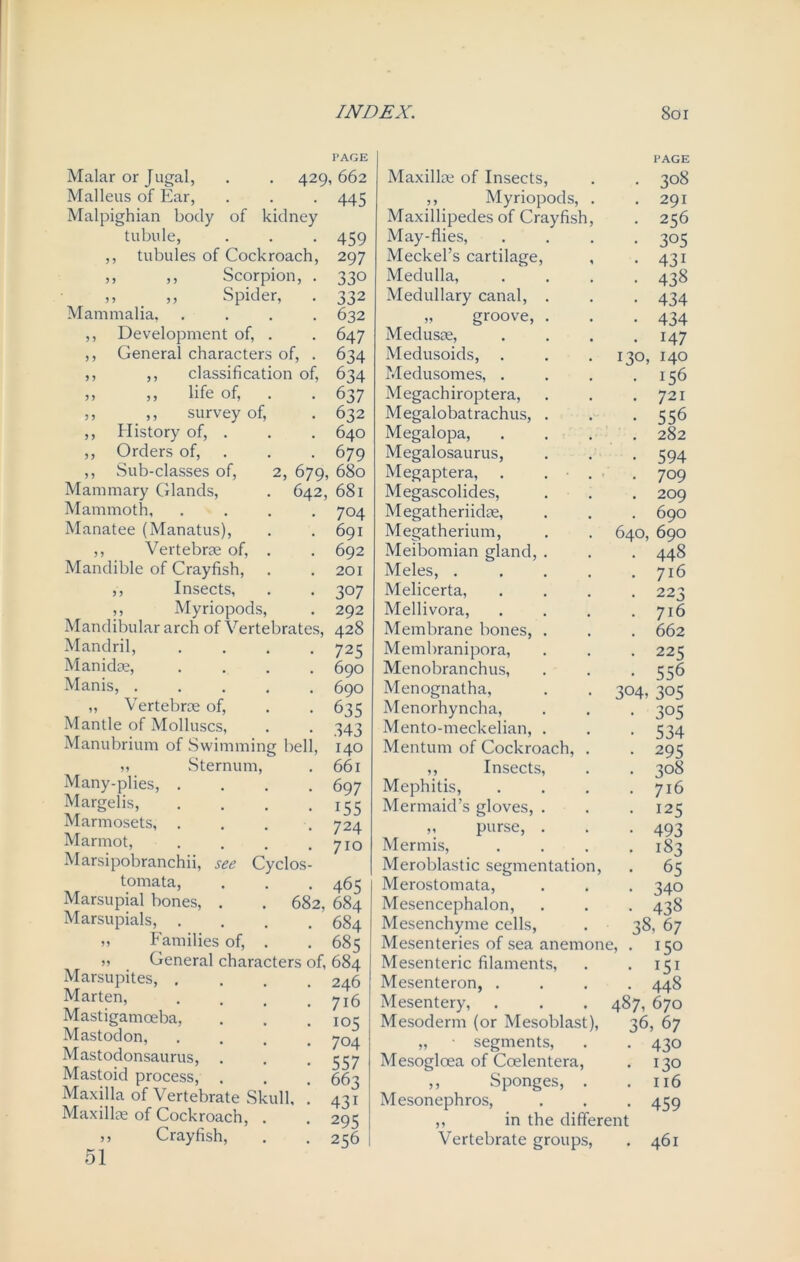 PAGE Malar or Jugal, . . 429,662 Malleus of Ear, . . . 445 Malpighian body of kidney tubule, . . . 459 ,, tubules of Cockroach, 297 ,, ,, Scorpion, . 330 ,, Spider, . 332 Mammalia, .... 632 ,, Development of, . . 647 ,, General characters of, . 634 ,, ,, classification of, 634 ,, ,, life of, . . 637 ,, ,, survey of, . 632 ,, History of, . . . 640 ,, Orders of, . . 679 ,, Sub-classes of, 2, 679, 680 Mammary Glands, . 642, 681 Mammoth, .... 704 Manatee (Manatus), . .691 ,, Vertebrae of, . . 692 Mandible of Crayfish, . .201 ,, Insects, . . 307 Myriopods, . 292 Mandibular arch of Vertebrates, 428 Mandril, Manidae, Manis, . „ Vertebrae of, Mantle of Molluscs, Manubrium of Swimming bel j, Sternum, Many-plies, . Margelis, Marmosets, . Marmot, Marsipobranchii, see Cyclos tomata, Marsupial bones, . . 682, 684 Marsupials, . . . .684 » Families of, . . 685 General characters of, 684 Marsupites, Marten, Mastigamoeba, Mastodon, Mastodonsaurus, Mastoid process, Maxilla of Vertebrate Skull, Maxillae of Cockroach, . ,, Crayfish, 51 725 690 690 635 34 3 140 661 697 155 724 710 465 246 716 105 704 557 663 43i 295 256 PAGE Maxillae of Insects, . . 308 ,, Myriopods, . .291 Maxillipedes of Crayfish, . 256 May-flies, .... 305 Meckel’s cartilage, , .431 Medulla, .... 438 Medullary canal, . . . 434 „ groove, . . .434 Medusae, . . . .147 Medusoids, . . . 130, 140 Medusomes, . . . .156 Megachiroptera, . . .721 Megalobatrachus, . . *556 Megalopa, .... 282 Megalosaurus, . . . 594 Megaptera, . . • . . 709 Megascolides, . . . 209 Megatheriidae, . . . 690 Megatherium, . . 640, 690 Meibomian gland, . . . 448 Meles, ..... 716 Melicerta, .... 223 Mellivora, .... 716 Membrane bones, . . . 662 Membranipora, . . . 225 Menobranchus, . . . 556 Menognatha, . . 304, 305 Menorhyncha, . . . 305 Mento-meckelian, . . . 534 Mentum of Cockroach, . . 295 ,, Insects, . . 308 Mephitis, . . . .716 Mermaid’s gloves, . . .125 m purse, . . -493 Mermis, . . . .183 Meroblastic segmentation, . 65 Merostomata, . . . 340 Mesencephalon, . . . 438 Mesenchyme cells, . 38, 67 Mesenteries of sea anemone, . 150 Mesenteric filaments, . . 151 Mesenteron, .... 448 Mesentery, . . . 487, 670 Mesoderm (or Mesoblast), 36, 67 „ segments, . . 430 Mesoglcea of Coelentera, . 130 ,, Sponges, . . 116 Mesonephros, . . . 459 ,, in the different Vertebrate groups, . 461