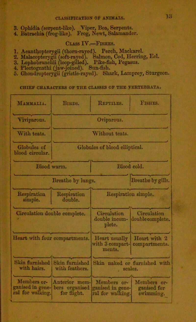 3. Ophidia (serpent-like). Viper, Boa, Serpents. 4. Batrachia (frog-like). Frog, Newt, Salamander. Class IV.—Fishes. 1. Acanthopterygii (thorn-raved). Perch, Mackarel. 2. Malacoptorygii (soft-rayed). Salmon, Cod, Herring, Eel. 3. Lophobrancliii (loop-gilled). Pike-fish, Pegasus. 4. Plectognathi (jaw-joined). Sun-fish. 5. Chondropterygii (gristle-rayed). Shark, Lamprey, Sturgeon. CHIEF CHARACTERS OF THE CLASSES OF THE VERTEBRATA. Mammalia. Birds. Reptiles. Fishes. Viviparous. Oviparous. With teats. ' » 1 -■ Without teats. Globules of blood circular. Globe des of blood elliptical. Blood warm. Blood cold. Breathe by lung s. Breathe by gills. V Respiration simple. Respiration double. Respiratic n simple. Circulation doublo complete. Circulation doublo incom- plete. Circulation double complete. Heart with four V i compartments. Heart usually with 3 compart- ments. Heart with 2 compartments. Skin furnished with liairs. V, . Skin furnished with feathers. Skin naked or sea furnished with ies. Members or- ganised in gene- ral for walking. « Anterior mem- bers organised for flight. Members or- ganised in gene- ral for walking Members or- ganised for swimming.