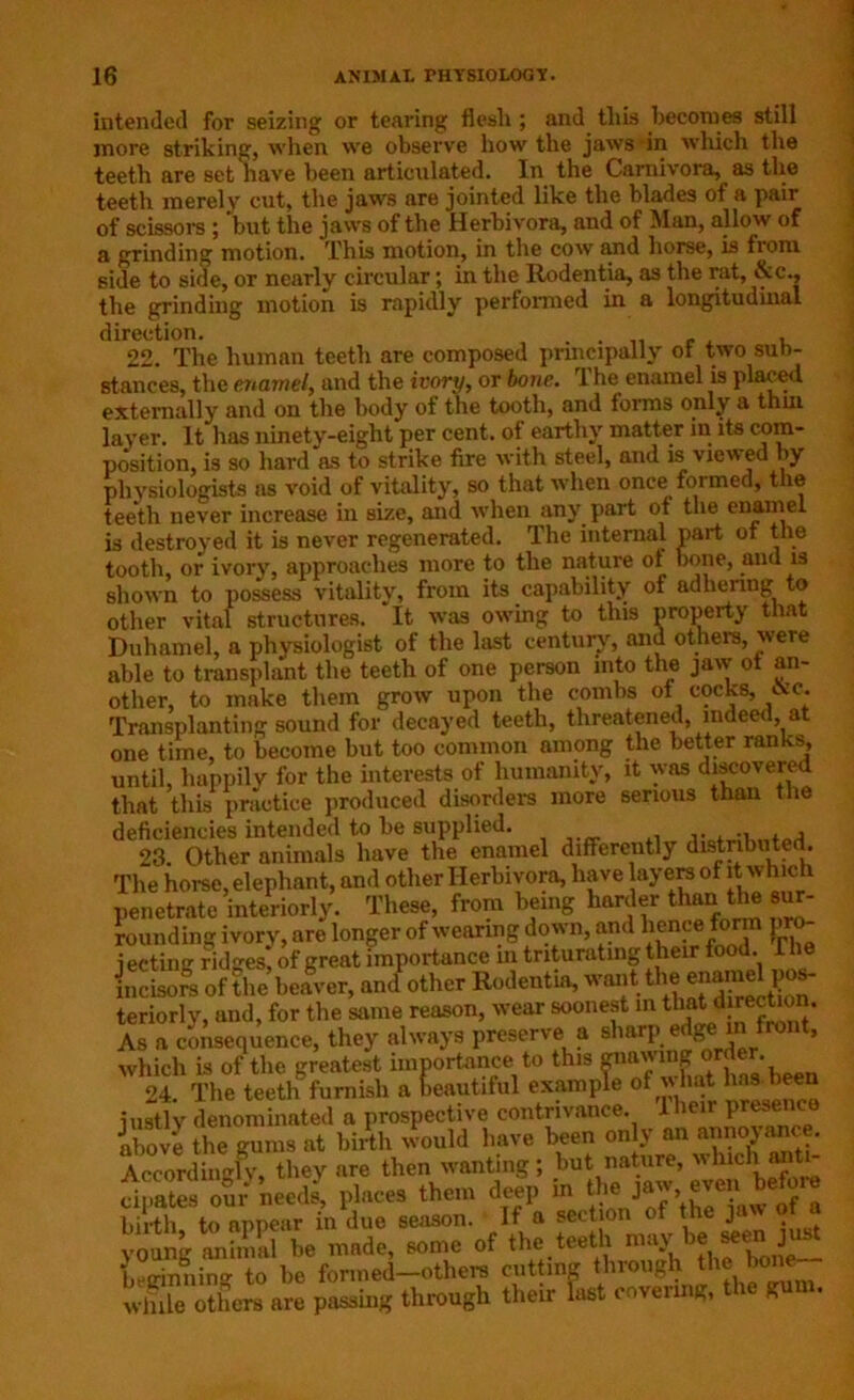 intended for seizing or tearing flesh; and this becomes still more striking, when we observe how the jaws in which the teeth are set have been articulated. In the Carnivora, as the teeth merely cut, the jaws are jointed like the blades of a pair of scissors ; but the jaws of the Herbivora, and of Man, allow of a grinding motion. This motion, in the cow and horse, is from side to side, or nearly circular; in the Iiodentia, as the rat, &c., the grinding motion is rapidly performed in a longitudinal direction. . , 22. The human teeth are composed principally ot two sub- stances, the enamel, and the ivory, or bone. The enamel is placed externally and on the body of the tooth, and forms only a thui layer. It has ninety-eight per cent, ot earthy matter in its com- position, is so hard'as to strike fire with steel, and is viewed by physiologists as void of vitality, so that when once formed, the teeth never increase in size, and when any part of the enamel is destroyed it is never regenerated. The internal part ot the tooth, or ivory, approaches more to the nature of bone, and is shown to possess vitality, from its capability of adhering to other vital structures. It was owing to this property that Duhamel, a physiologist of the last century, and others, were able to transplant the teeth of one person into the jaw ot an- other, to make them grow upon the combs ot cocks, «c. Transplanting sound for decayed teeth, threatened, indee<, a one time, to become but too common among the better ranks, until, happily for the interests of humanity, it was discovered that this practice produced disorders more serious than the deficiencies intended to be supplied. 23. Other animals have the enamel differently distributed. The horse, elephant, and other Herbivora, have ayersof it which penetrate interiorly. These, from being harder than the sur- rounding ivory, are longer of wearing down, and kcnceform pro- tecting ridges, of great importance in triturating their food. II incisors of the beaver, and other Rodentia, want th<.enamel]pos- teriorly, and, for the same reason, wear soonest in that d ration. As a consequence, they always preserve a sharp edge m front, which is of the greatest importance to this miawmg order 24. The teeth furnish a beautiful example of w hat lias been justly denominated a prospective contrivance, lheir presence above the gums at birth would have been on y an annoyance. Accordingly, they nre then wanting; but nature, uInch ant cinates our needs, places them deep in the jaw, even befo.e birth to appear in due season. If a section of the jaw of a young animal be made, some of the teeth nniy be seen just beginning to be formed—others cutting through the bone- wlnle others are passing through tlieir last covering, the gum.