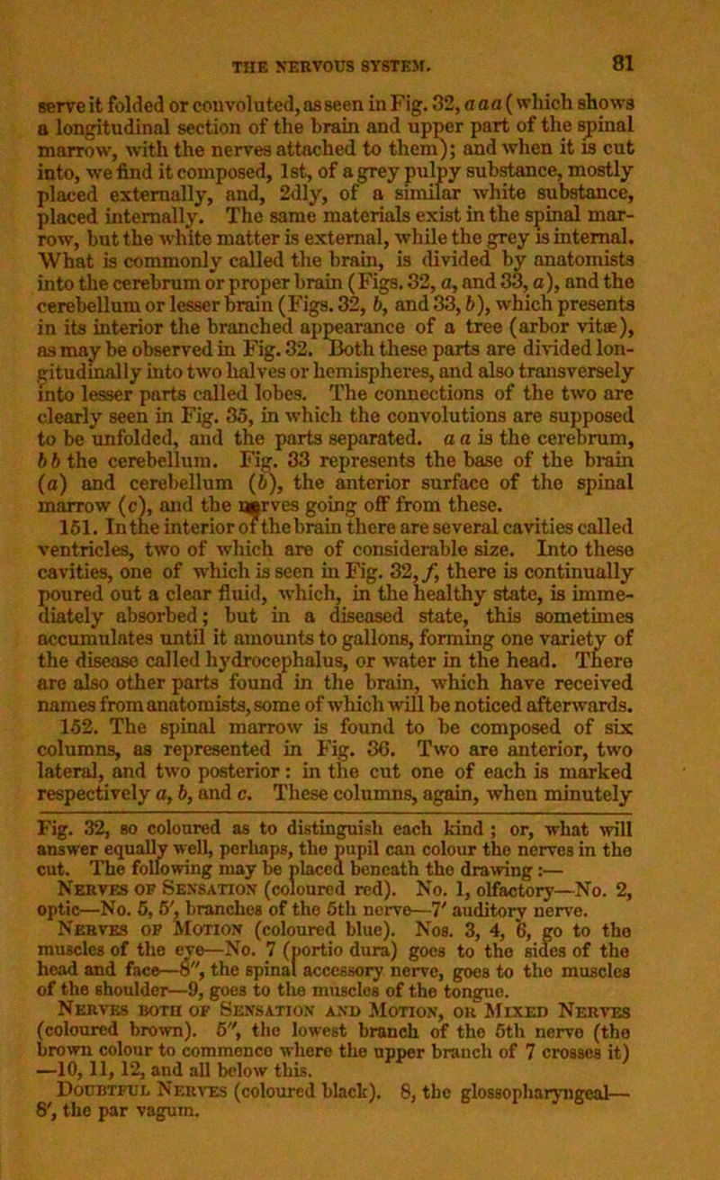 serve it folded or convoluted, as seen in Fig. 32, a a a (which shows a longitudinal section of the brain and upper part of the spinal marrow, with the nerves attached to them); and when it is cut into, we find it composed, 1st, of a grey pulpy substance, mostly placed externally, and, 2dly, of a similar white substance, placed internally. The same materials exist in the spinal mar- row, but the white matter is external, while the grey is internal. What is commonly called the brain, is divided by anatomists into the cerebrum or proper brain (Figs. 32, a, and 33, a), and the cerebellum or lesser brain (Figs. 32, b, and 33, b), which presents in its interior the branched appearance of a tree (arbor vitae), as may be observed in Fig. 32. Iioth these parts are divided lon- gitudinally into two halves or hemispheres, and also transversely into lesser parts called lobes. The connections of the two are clearly seen in Fig. 35, in which the convolutions are supposed to be unfolded, and the parts separated, a a is the cerebrum, bb the cerebellum. Fig. 33 represents the base of the brain (a) and cerebellum (b), the anterior surface of the spinal marrow (c), mid the uarves going off from these. 151. In the interior of the brain there are several cavities called ventricles, two of wliich are of considerable size. Into these cavities, one of which is seen in Fig. 32,/, there is continually poured out a clear fluid, which, in the healthy state, is imme- diately absorbed; but in a diseased state, this sometimes accumulates until it amounts to gallons, forming one variety of the disease called hydrocephalus, or water in the head. There are also other parts found in the brain, which have received names from anatomists, some of which will be noticed afterwards. 152. The spinal marrow is found to be composed of six columns, as represented in Fig. 3G. Two are anterior, two lateral, and two posterior: in the cut one of each is marked respectively a, b, and c. These columns, again, when minutely Fig. 32, so coloured as to distinguish each kind ; or, what will answer equally well, perhaps, the pupil can colour the nerves in the cut. The following may be placed beneath tho drawing:— Nerves of Sensation (coloured red). No. 1, olfactory—No. 2, optic—No. 5, 5', branches of tho 5th nerve—7' auditory nerve. Nerves of Motion (coloured blue). Nos. 3, 4, 6, go to the muscles of the eve—No. 7 (portio dura) goes to the sides of the head and face—f3, the spinal accessory nerve, goes to tho muscles of the shoulder—9, goes to the muscles of tho tongue. Nerves both of Sensation and Motion, oh Mixed Nerves (coloured brown). 5, the lowest branch of tho 5th nervo (tho brown colour to commence where the upper branch of 7 crosses it) —10,11,12, and all below this. Doubtful Nerves (coloured black). 8, the glossopharyngeal— 8', the par vagum.