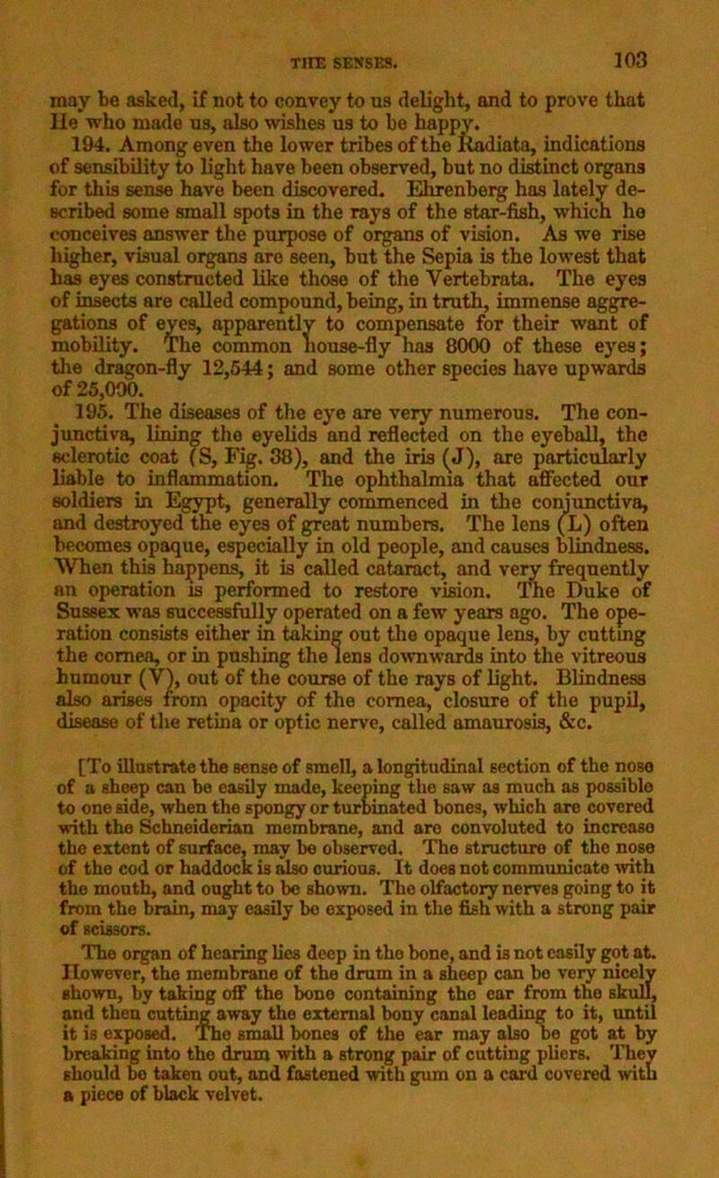 may be asked, if not to convey to us delight, and to prove that lie who made us, also wishes us to he happy. 194. Among even the lower tribes of the ftadiata, indications of sensibility to light have been observed, but no distinct organs for this sense have been discovered. Ehrenberg has lately de- scribed some small spots in the rays of the star-fish, which ho conceives answer the purpose of organs of vision. As we rise higher, visual organs are seen, but the Sepia is the lowest that has eyes constructed like those of the Vertebrata. The eyes of insects are called compound, being, in truth, immense aggre- gations of eyes, apparently to compensate for their want of mobility. The common house-fly has 8000 of these eyes; the dragon-fly 12,544; and some other species have upwards of 25,000. 195. The diseases of the eye are very numerous. The con- junctiva, lining the eyelids and reflected on the eyeball, the sclerotic coat (S, Fig. 38), and the iris (J), are particularly liable to inflammation. The ophthalmia that affected our soldiers in Egypt, generally commenced in the conjunctiva, and destroyed the eyes of great numbers. The lens (L) often becomes opaque, especially in old people, and causes blindness. When this happens, it is called cataract, and very frequently an operation is performed to restore vision. The Duke of Sussex was successfully operated on a few years ago. The ope- ration consists either in taking out the opaque lens, by cutting the cornea, or in pushing the lens downwards into the vitreous humour (V), out of the course of the rays of light. Blindness also arises from opacity of the cornea, closure of the pupil, disease of the retina or optic nerve, called amaurosis, &c. [To illustrate the Bensc of smell, a longitudinal section of the nose of a sheep can be easily made, keeping the saw as much as possible to one side, when the spongy or turbinated bones, which are covered with the Schneiderian membrane, and are convoluted to increaso the extent of surface, may be observed. The structure of the nose of the cod or haddock is also curious. It does not communicate with the mouth, and ought to be shown. The olfactory nerves going to it from the brain, may easily bo exposed in the fish with a strong pair of scissors. The organ of hearing lies deep in the bone, and is not easily got at. Ilowever, the membrane of the drum in a sheep can bo very nicely shown, by taking off the bone containing the ear from the skull, and then cutting away the external bony canal leading to it, until it is exposed. The small bones of the ear may also be got at by breaking into the drum with a strong pair of cutting pliers. Thev should bo taken out, and fastened with gum on a card covered with a piece of black velvet.