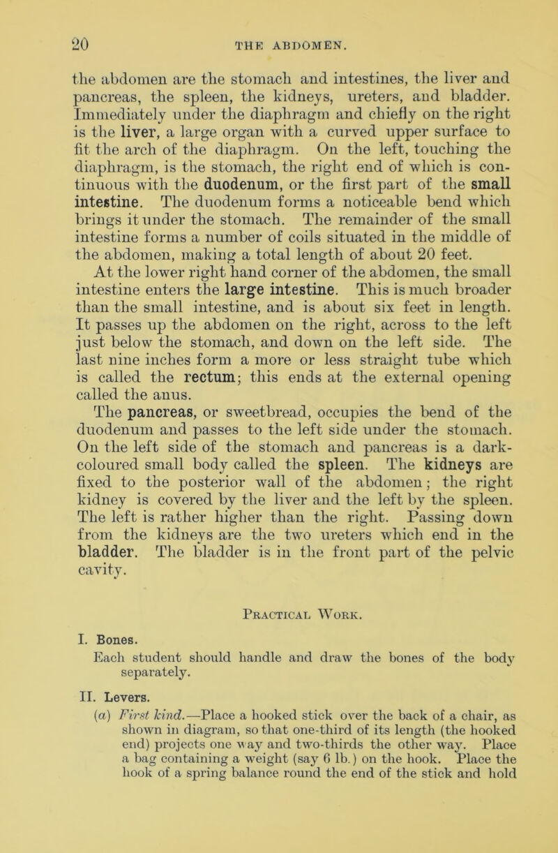 the abdomen are the stomach and intestines, the liver and pancreas, the spleen, the kidneys, ureters, and bladder. Immediately under the diaphragm and chiefly on the right is the liver, a large organ with a curved upper surface to fit the arch of the diaphragm. On the left, touching the diaphragm, is the stomach, the right end of which is con- tinuous with the duodenum, or the first part of the small intestine. The duodenum forms a noticeable bend which brings it under the stomach. The remainder of the small intestine forms a number of coils situated in the middle of the abdomen, making a total length of about 20 feet. At the lower right hand corner of the abdomen, the small intestine enters the large intestine. This is much broader than the small intestine, and is about six feet in length. It passes up the abdomen on the right, across to the left just below the stomach, and down on the left side. The last nine inches form a more or less straight tube which is called the rectum; this ends at the external opening called the anus. The pancreas, or sweetbread, occupies the bend of the duodenum and passes to the left side under the stomach. On the left side of the stomach and pancreas is a dark- coloured small body called the spleen. The kidneys are fixed to the posterior wall of the abdomen; the right kidney is covered by the liver and the left by the spleen. The left is rather higher than the right. Passing down from the kidneys are the two ureters which end in the bladder. The bladder is in the front part of the pelvic cavity. Pr.\ctical Work. I. Bones. Each student should handle and draw the bones of the body separately. II. Levers. (a) First kind.—Place a hooked stick over the back of a chair, as shown in diagram, so that one-third of its length (the hooked end) projects one vay and two-thirds the other way. Place a bag containing a weight (say 0 lb.) on the hook. Place the hook of a spring balance round the end of the stick and hold