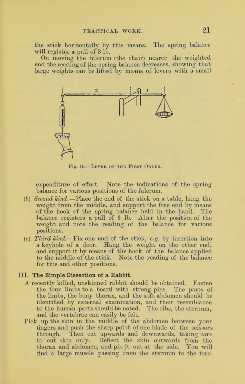 the stick horizontally by this means. Tlie spring balance will register a pull of 3 lb. On moving the fulcrum (the chair) nearer the weighted end the reading of the spring balance decreases, showing that large weights can be lifted by means of levers with a small expenditure of effort. Note the indications of the spring balance for various positions of the fulcrum. (/>) Second kind.—Place the end of the stick on a table, hang the weight from the middle, and support the free end by means of tbe hook of the spring balance held in the hand. The balance registers a pull of 3 lb. Alter the position of the weight and note the reading of the balance for various positions. (c) Third kind.—Fix one end of the stick, e.g. by insertion into a keyhole of a door. Hang the weight on the other end, and support it by means of the hook of the balance applied to the middle of the stick. Note the reading of the balance for this and other positions. III. The Simple Dissection of a Rabbit. A recently killed, unskinned rabbit should be obtained. Fasten the four limbs to a board with strong pins. The parts of the limbs, the bony thorax, and the soft abdomen should be identified by external examination, and their resemblance to the human parts should be noted. The ribs, the sternum, and the vertebrae can easily be felt. Pick up the skin in the middle of the abdomen between your fingers and push the sliarp point of one blade of the scis.sors through. Then cut iipwards and downwards, taking care to cut skin onlj'. Reflect the skin outwards from the thorax and abdomen, and pin it out at the side. You will find a large muscle passing from the sternum to the fore- Fig. 19.—Lkver of the First Order.