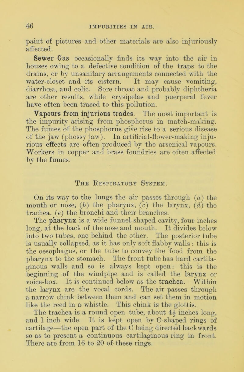 4(3 paint of pictures and other materials are also injuriously affected. Sewer Gas occasionally finds its way into the air in houses owing to a defective condition of the traps to the drains, or by unsanitary arrangements connected with the water-closet and its cistern. It may cause vomiting, diarrhoea, and colic. Sore throat and probably diphtheria are other results, while erysipelas and puerperal fever have often been traced to this pollution. Vapours from injurious trades. The most important is the impurity arising from phosphorus in match-making. The fumes of the phosphorus give rise to a serious disease of the jaw (phossy jaw). In artificial-flower-making inju- rious effects are often produced by the arsenical vapours. Workers in copper and brass f’oundries are often affected by the fumes. The Eespiratoet System. On its Avay to the lungs the air passes through (a) the mouth or nose, (h) the pharynx, (c) the larynx, (d) the trachea, (e) the bronchi and their branches. The pharynx is a Avide funnel-shaped caAuty, four inches lontr, at the back of the nose and mouth. It divides beloAv O' , into two tubes, one behind the other. The posterior tube is usually collapsed, as it has only soft flabby Avails : this is the oesophagus, or the tube to convey the food from the pharynx to the stomach. The front tube has hard cartila- ginous Avails and so is abvays kept open: this is the beginning of the Avindpipe and is called the larynx or voice-box. It is continued beloAV as the trachea. Within the larynx are the vocal cords. The air passes through a narrow chink between them and can set them in motion like the reed in a whistle. This chink is the glottis. The trachea is a round open tube, about 4^ inches long, and 1 inch wide. It is kept open by C-shaped rings of cartilage—the open part of the C being directed backwards so as to present a continuous cartilaginous ring in front. There are from 16 to 20 of these rings.