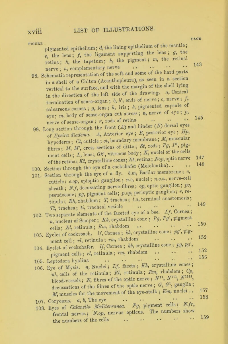 XVlll PAQB pigmented epithelium; d,the lining epithelium of the mantle; e, the lens; /, the ligament supporting the lens ; fir the retina; h, the tapetum; k, the pigment; m, the retinal nerve ; n, complementary nerve .. V 98. Schematic representation of the soft and some of the hard pa^s in a shell of a Chiton (Acanthopleura), as seen in a section vertical to the surface, and with the margin of the shell lying in the direction of the left side of the drawing, a, Conical termination of sense-organ ; h, b', ends of nerve ; c, nerve ; /, calcareous cornea; ^,lens; h, iris; /:, pigmented capsule of eye; m, body of sense-organ cut across; n, nerve ot eje , p, nerve of sense-organ ; r, rods of retina ' \ ‘ , 99. Long section through the front (A) and hinder ( ) oisa ejes of Epeira diadema. A, Anterior eye ; B, posterior eye ; Ep, hvpoderm ; Ct, cuticle ; ct, boundary membrane; 3f, muscular fibres- 31, 3F, cross sections of ditto; St, rods; 1 g, -I , P'g- ment cells; L, lens; Gk\ vitreous body; K, nuclei of the ce s of the retina; Jfl, crystalline cones; Et, retina; lYoi?, optic nerve 100 Section through the eye of a cockchafer (Melolontha).. 101. Section through the eye of a fly. b.m, Basilar membrane; c cuticle; e.op, epioptic ganglion ; n.c, nuclei; n.c.s., nerve-ce sheath; N.f, decussating nerve-fibres; op, optic ganglion; pc, pseudocone; pg, pigment cells; p.op, perioptic ganglion; r, re- tinula; Eh, rhabdom; T, trachea; t.a, terminal anastomosis; Tt, trachea; ti, tracheal vesicle 102. Two separate elements of the faceted eye of a bee. Lf, Cornea; 71, nucleus of Semper; Kk, crystalline cone ; Eg, Eg , pigment cells; El, retinula; Em, rhabdom ^ • 103. Eyelet of cockroach. If, Cornea ; Id, crystalline cone ; pg, pig- ment cell; rl, retinula ; rm, rhabdom 104. Eyelet of cockchafer. If, Cornea ; kk, crystalline cone ; pg, pg , pigment cells; t-Z, retinula; i-m, rhabdom 105. Leptodora hyalina • • 106. Eye of Mysis. n. Nuclei; Lf, facets ; Kk, crystalline cones ; 7i', cells of the retinula; El, retinula; Em, rhabdom; blood-vessels; N, fibres of the optic nerve ; A”, A”, decussations of the fibres of the optic nerve ; G, G\ gangha ; 31, muscles for the movement of the eye-stalk ; Km, nuclei .. 107. CoryciEus. a, 5, The eye .. •• • •• •• 108 Eves of Calanella 3Iediterranea. Eg, pigment cells; A./r, frontal nerves; N.op, nervus opticus. The numbers show the numbers of the cells 143 145 147 148 149 150 152 152 156 157 158 159