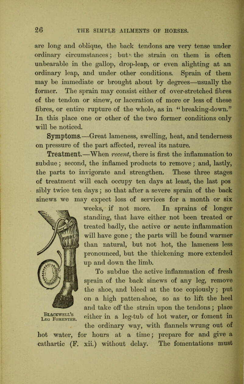 are long and oblique, the back tendons are very tense under ordinary circumstances; but* the strain on them is often unbearable in the gallop, drop-leap, or even alighting at an ordinary leap, and under other conditions. Sprain of them may be immediate or brought about by degrees—usually the former. The sprain may consist either of over-stretched fibres of the tendon or sinew, or laceration of more or less of these fibres, or entire rupture of the whole, as in “breaking-down.” In this place one or other of the two former conditions only will be noticed. Symptoms.—Great lameness, swelling, heat, and tenderness on pressure of the part affected, reveal its nature. Treatment.—When recent, there is first the inflammation to subdue; second, the inflamed products to remove; and, lastly, the parts to invigorate and strengthen. These three stages of treatment will each occupy ten days at least, the last pos ■ sibly twice ten days; so that after a severe sprain of the back sinews we may expect loss of services for a month or six weeks, if not more. In sprains of longer standing, that have either not been treated or treated badly, the active or acute inflammation will have gone ; the parts will be found warmer than natural, but not hot, the lameness less pronounced, but the thickening more extended up and down the limb. To subdue the active inflammation of fresh sprain of the back sinews of any leg, remove the shoe, and bleed at the toe copiously; put on a high patten-shoe, so as to lift the heel and take off the strain upon the tendons; place either in a leg-tub of hot water, or foment in the ordinary way, with flannels wrung out of hot water, for hours at a time; prepare for and give a cathartic (F. xii.) without delay. The fomentations must Blackwell’s Leg Fomenter.