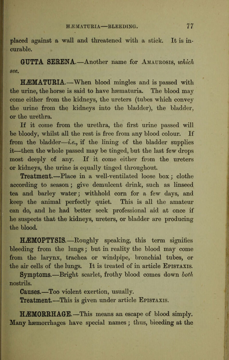 placed against a wall and threatened with a stick. It is in- curable. GUTTA SERENA.—Another name for Amaurosis, which see. HaEMATURIA.—When blood mingles and is passed with the urine, the horse is said to have haematuria. The blood may come either from the kidneys, the ureters (tubes which convey the urine from the kidneys into the bladder), the bladder, or the urethra. If it come from the urethra, the first urine passed will be bloody, whilst all the rest is free from any blood colour. If from the bladder—i.e., if the lining of the bladder supplies it—then the whole passed may be tinged, but the last few drops most deeply of any. If it come either from the ureters or kidneys, the urine is equally tinged throughout. Treatment.—Place in a well-ventilated loose box; clothe according to season; give demulcent drink, such as linseed tea and barley water; withhold corn for a few days, and keep the animal perfectly quiet. This is all the amateur can do, and he had better seek professional aid at once if he suspects that the kidneys, ureters, or bladder are producing the blood. HAEMOPTYSIS.—Roughly speaking, this term signifies bleeding from the lungs; but in reality the blood may come from the larynx, trachea or windpipe, bronchial tubes, or the air cells of the lungs. It is treated of in article Epistaxis. Symptoms.—Bright scarlet, frothy blood comes down both nostrils. Causes.—Too violent exertion, usually. Treatment.—This is given under article Epistaxis. Haemorrhage. —This means an escape of blood simply. Many haemorrhages have special names ; thus, bleeding at the