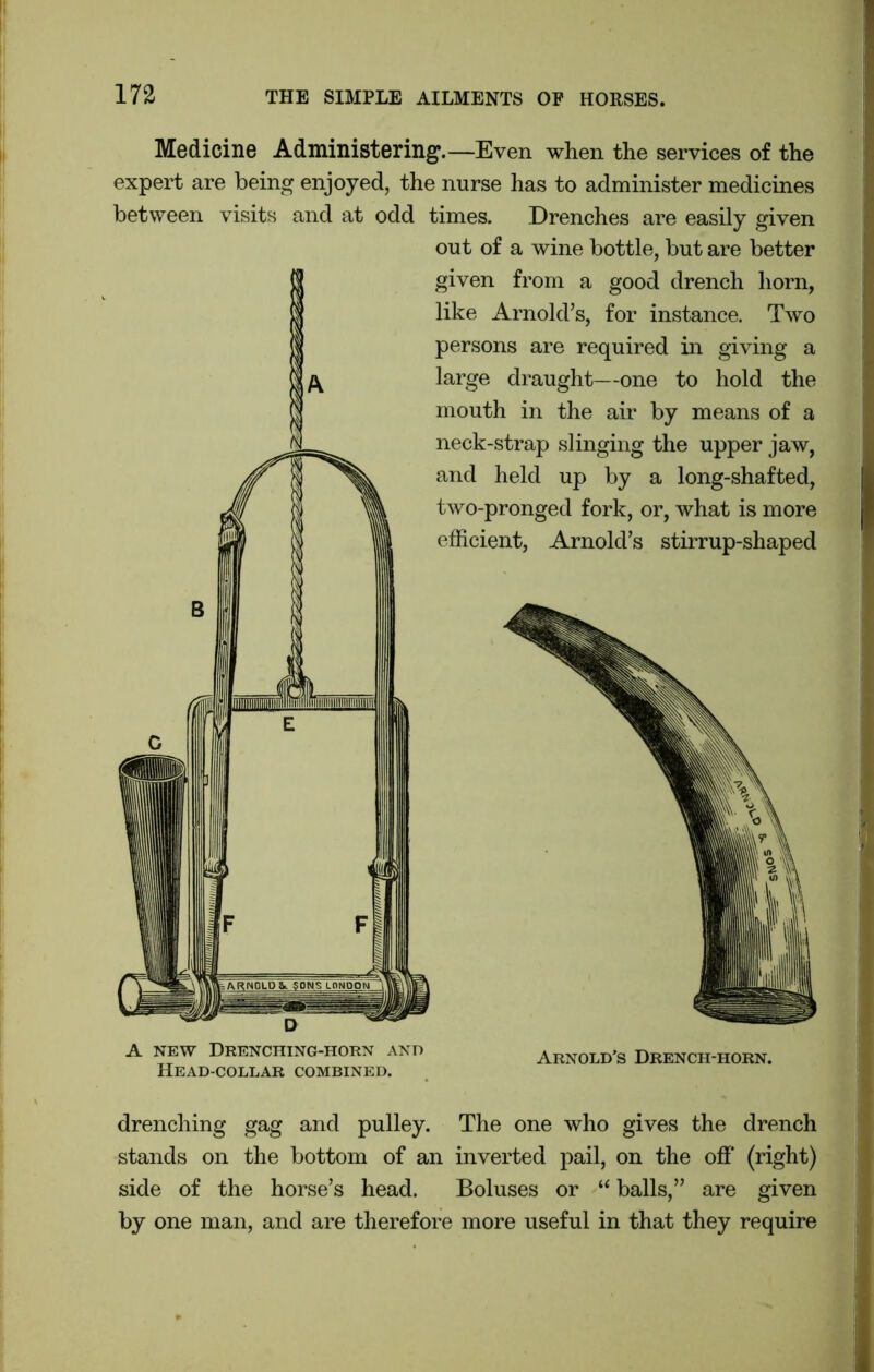 Medicine Administering.—Even when the services of the expert are being enjoyed, the nurse has to administer medicines between visits and at odd times. Drenches are easily given out of a wine bottle, but are better given from a good drench horn, like Arnold’s, for instance. Two persons are required in giving a large draught—one to hold the mouth in the air by means of a neck-strap slinging the upper jaw, and held up by a long-shafted, two-pronged fork, or, what is more efficient, Arnold’s stirrup-shaped A NEW DRENCHING-HORN AND Head-collar combined. Arnold’s Drench-horn. drenching gag and pulley. The one who gives the drench stands on the bottom of an inverted pail, on the off (right) side of the horse’s head. Boluses or “ balls,” are given by one man, and are therefore more useful in that they require