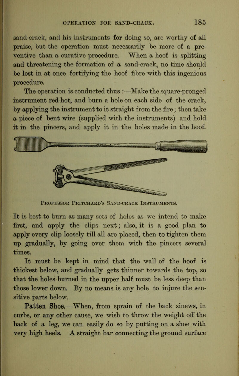 sand-crack, and his instruments for doing so, are worthy of all praise, but the operation must necessarily be more of a pre- ventive than a curative procedure. When a hoof is splitting and threatening the formation of a sand-crack, no time should be lost in at once fortifying the hoof fibre with this ingenious procedure. The operation is conducted thus :—Make the square-pronged instrument red-hot, and burn a hole on each side of the crack, by applying the instrument to it straight from the fire; then take a piece of bent wire (supplied with the instruments) and hold it in the pincers, and apply it in the holes made in the hoof. Professor Pritchard’s Sand-crack Instruments. It is best to burn as many sets of holes as we intend to make first, and apply the clips next; also, it is a good plan to apply every clip loosely till all are placed, then to tighten them up gradually, by going over them with the pincers several times. It must be kept in mind that the wall of the hoof is thickest below, and gradually gets thinner towards the top, so that the holes burned in the upper half must be less deep than those lower down. By no means is any hole to injure the sen- sitive parts below. Patten Shoe.—When, from sprain of the back sinews, in curbs, or any other cause, we wish to throw the weight off the back of a leg, we can easily do so by putting on a shoe with very high heels. A straight bar connecting the ground surface