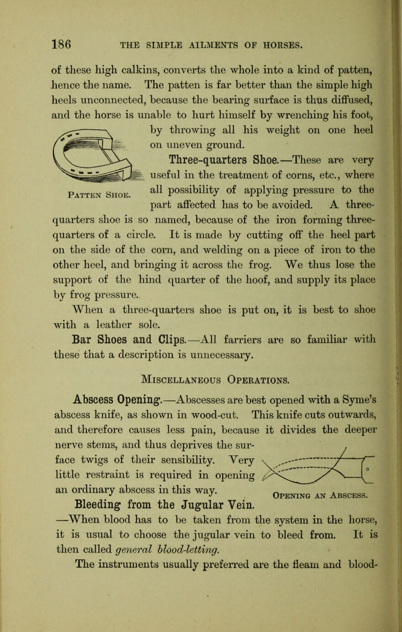 Patten Shoe. of these high calkins, converts the whole into a kind of patten, hence the name. The patten is far better than the simple high heels unconnected, because the bearing surface is thus diffused, and the horse is unable to hurt himself by wrenching his foot, by throwing all his weight on one heel on uneven ground. Three-quarters Shoe.—These are very useful in the treatment of corns, etc., where all possibility of applying pressure to the part affected has to be avoided. A three- quarters shoe is so named, because of the iron forming three- quarters of a circle. It is made by cutting off the heel part on the side of the corn, and welding on a piece of iron to the other heel, and bringing it across the frog. We thus lose the support of the hind quarter of the hoof, and supply its place by frog pressure. When a three-quarters shoe is put on, it is best to shoe with a leather sole. Bar Shoes and Clips.—All farriers are so familiar with these that a description is unnecessary. Miscellaneous Operations. Abscess Opening.—Abscesses are best opened with a Syme’s abscess knife, as shown in wood-cut. This knife cuts outwards, and therefore causes less pain, because it divides the deeper nerve stems, and thus deprives the sur- face twigs of their sensibility. Very little restraint is required in opening an ordinary abscess in this way. Bleeding from the Jugular Vein. —When blood has to be taken from the system in the horse, it is usual to choose the jugular vein to bleed from. It is then called general blood-letting. The instruments usually preferred are the fleam and blood- Opening an Abscess.