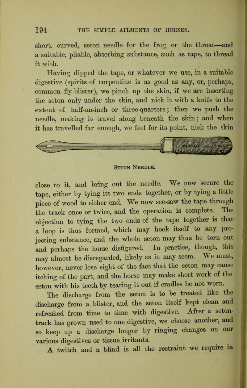 short, curved, seton needle for the frog or the throat—and a suitable, pliable, absorbing substance, such as tape, to thread it with. Having dipped the tape, or whatever we use, in a suitable digestive (spirits of turpentine is as good as any, or, perhaps, common fly blister), we pinch up the skin, if we are inserting the seton only under the skin, and nick it with a knife to the extent of half-an-inch or three-quarters; then we push the needle, making it travel along beneath the skin; and when it has travelled far enough, we feel for its point, nick the skin Seton Needle. close to it, and bring out the needle. We now secure the tape, either by tying its two ends together, or by tying a little piece of wood to either end. We now see-saw the tape through the track once or twice, and the operation is complete. The objection to tying the two ends of the tape together is that a loop is thus formed, which may hook itself to any pro- jecting substance, and the whole seton may thus be torn out <j and perhaps the horse disfigured. In practice, though, this may almost be disregarded, likely as it may seem. We must, however, never lose sight of the fact that the seton may cause itching of the part, and the horse may make short work of the seton with his teeth by tearing it out if cradles be not worn. The discharge from the seton is to be treated like the discharge from a blister, and the seton itself kept clean and refreshed from time to time with digestive. After a seton- track has grown used to one digestive, we choose another, and so keep up a discharge longer by ringing changes on our various digestives or tissue irritants. A twitch and a blind is all the restraint we require in