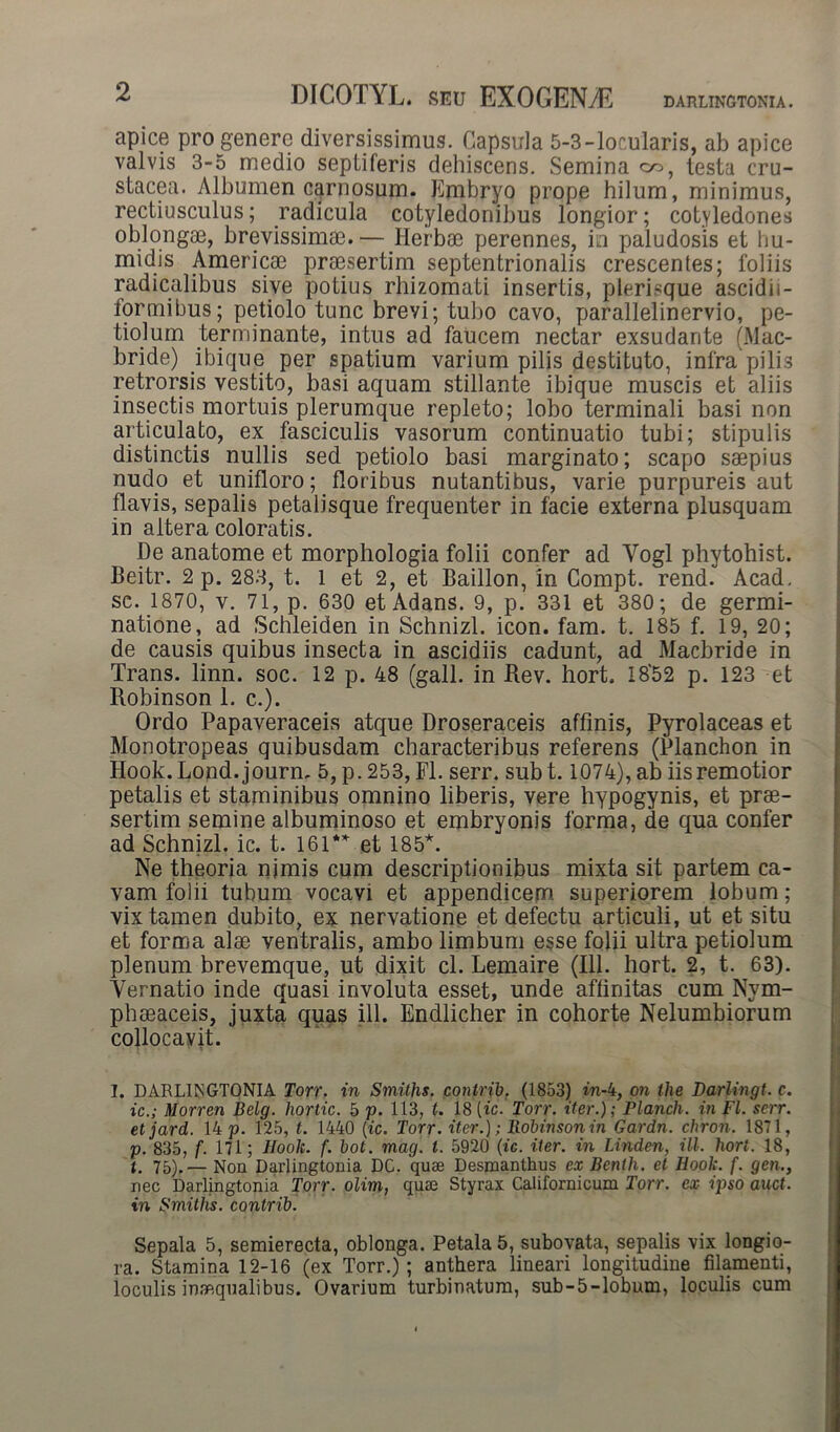 apice pro genere diversissimus. Capsula 5-3-loc.ularis, ab apice valvis 3-5 medio septiferis dehiscens. Semina w, testa cru- stacea. Albumen carnosum. Embryo prope hilum, minimus, rectiusculus; radicula cotyledonibus longior; cotyledones oblongae, brevissimae.— Herbae perennes, in paludosis et hu- midis Americae praesertim septentrionalis crescentes; foliis radicalibus sive potius rhizomati insertis, plerisque ascidii- formibus; petiolo tunc brevi; tubo cavo, parallelinervio, pe- tiolum terminante, intus ad faucem nectar exsudante (Mac- bride) ibique per spatium varium pilis destituto, infra pilis retrorsis vestito, basi aquam stillante ibique muscis et aliis insectis mortuis plerumque repleto; lobo terminali basi non articulato, ex fasciculis vasorum continuatio tubi; stipulis distinctis nullis sed petiolo basi marginato; scapo saepius nudo et unifloro; floribus nutantibus, varie purpureis aut flavis, sepalis petalisque frequenter in facie externa plusquam in altera coloratis. De anatome et morphologia folii confer ad Yogl phytohist. Beitr. 2 p. 283, t. 1 et 2, et Baillon, in Compt. rend. Acad. sc. 1870, v. 71, p. 630 et Adans. 9, p. 331 et 380; de germi- natione, ad Schleiden in Schnizl. icon. fam. t. 185 f. 19, 20; de causis quibus insecta in ascidiis cadunt, ad Macbride in Trans, linn. soc. 12 p. 48 (gall. in Rev. hort. 18'52 p. 123 et Robinson 1. c.). Ordo Papaveraceis atque Droseraceis affinis, Pyrolaceas et Monotropeas quibusdam characteribus referens (Planchon in Hook.Lond.journ, 5, p. 253, FI. serr. subt. 1074), ab iis remotior petalis et staminibus omnino liberis, vere hypogynis, et prae- sertim semine albuminoso et embryonis forma, de qua confer ad Schnizl. ic. t. 161** et 185*. Ne theoria nimis cum descriptionibus mixta sit partem ca- vam folii tubum vocavi et appendicem superiorem lobum; vix tamen dubito, ex nervatione et defectu articuli, ut et situ et forma alae ventralis, ambo limbum esse folii ultra petiolum plenum brevemque, ut dixit cl. Lemaire (111. hort. 2, t. 63). Vernatio inde quasi involuta esset, unde affinitas cum Nym- phaeaceis, juxta quas ili. Endlicher in cohorte Nelumbiorum collocavit. I. DARLINGTONIA Torr. in Smiths. contrjb. (1853) in-4, on the Darlingt. c. ic.; Morren Belg. liortic. 5 p. 113, f. 18 [ic. Torr. iter.); Planch. in FI. serr. etjard. 14 p. 125, t. 1440 [ic. Torr. iter.); liobinson in Gardn. chron. 1871, p. 835, f. 171; Ilook. f. bot. mag. t. 5920 (ic. iter, in Linden, ili. hort. 18, t. 75).— Non Darlingtonia DC. quae Desmanthus ex Bentli. et Ilook. f. gen., nec Darlingtonia Torr. olim, quae Styrax Californicum Torr. ex ipso auct. in Smiths. contrib. Sepala 5, semierecta, oblonga. Petala 5, subovata, sepalis vix longio- ra. Stamina 12-16 (ex Torr.); anthera lineari longitudine filamenti, loculis inaequalibus. Ovarium turbinatum, sub-5-lobum, loculis cum