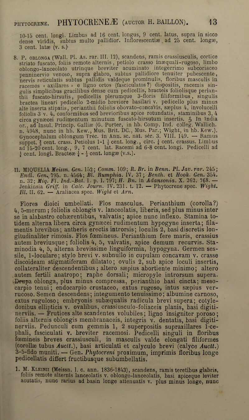 10-15 cent. longi. Limbus ad 16 cent. longus, 9 cent. latus, supra in sicco dense viridis, subtus multo pallidior. Inflorescentiae ^ ad 25 cent. longae, 3 cent. latae (v. s.)- 8. P. oblonga (Wall. Pl. As. rar. III. 12), scandens, ramis crassiusculis, cortice striato fuscato, foliis remote alternis , petiolo crasso inaequali-rugoso, limbo oblongo-lanceolato utrinque breviter acuminato integerrimo subcoriaceo penninervio venoso, supra glabro, subtus pallidiore tenuiter pubescente, nervis reticulatis subtus pallidis valdeque prominulis, floribus masculis in racemos « axillares » e ligno ortos (fasciculatos ?) dispositis, racemis sin- gulis simplicibus gracilibus dense cum pedicellis, bracteis foliolisque perian- tbii fuscato-hirsutis, pedicellis plerumque 3-floris filiformibus, singulis bractea lineari pedicello 2-midio breviore basilari v. pedicello plus minus alte inserta stipatis, perianthii foliolis obovato-concavis, saepius 4, involucelli foliolis 3 v. 4, conformibus sed brevioribus apice rotundatis, staminibus 3, 4 circa gynaecei rudimentum minutum fuscato-hirsutum insertis. 5 Jn India or., ad Insui. Princip. Galliae (G. Porter, in hb. Comp. Ind. colleg. Wallich. n. 4948, nunc in hb. Kew., Mus. Brit. DC., Mus. Par.; Wight, in hb. Kew.). Gynocephalum oblongum Trec. in Ann. sc. nat. s6r. 3. VIII. 149. — Ramus suppet. | cent. crass. Petiolus 1-1 \ cent. long., circ. \ cent. crassus. Limbus ad 15-20 cent. long., 9, 7 cent. lat. Racemi ad 6-8 cent. longi. Pedicelli ad i cent. longi. Bracteae \ - £ cent. longae (v.s.). 11. MIQUELIA Meissn. Gen. 152; Comm. 109; R. Br. in Benn. Pl. Jav.rar. 245; Endl. Gen., 795. n. 4564; Bl. Rumphia. 1Y. 37; Benth. et Hook. Gen. 354. n. 32; Miq. FI. Ind.-Bat. I. p. I. 797; H. Bn. in Adansonia. X. 262. 768. — Jenkinsia Griff. in Cale. Journ. IV. 231. t. 12. — Phytocrene spec. Wight. lll. II. 62. — Araliacea spec. Wight et Arn. Flores dioici umbellati. Flos masculus. Perianthium (corolla?) 4, 5-merum; foliolis oblongis v. lanceolatis, liberis, sed plus minus inter se in alabastro cohaerentibus, valvatis; apice nunc inflexo. Stamina to- tidem alterna libera circa gynaecei rudimentum hypogyne inserta; fila- mentis brevibus; antheris erectis introrsis; loculis 2, basi discretis lon- gitudinaliter rimosis. Flos fcemineus. Perianthium fere maris, crassius autem breviusque; foliolis 4, 5, valvatis, apice demum recurvis. Sta- minodia 4, 5, alterna brevissime linguiformia, hypogyna. Germen ses- sile, 1-loculare; stylo brevi v. subnullo in cupulam concavam v. crasse discoideam stigmatiferam dilatato; ovulis 2, sub apice loculi insertis, collateraliter descendentibus; altero saepius abortiente minimo; altero autem fertili anatropo; raphe dorsali; micropyle introrsum supera. Brapa oblonga, plus minus compressa, perianthio basi cincta; meso- carpio tenui; endocarpio crustaceo, extus rugoso, intus saepius ver- rucoso. Semen descendens; integumento tenuissimo; albumine carnoso, extus ruguloso; embryonis subaequalis radicula brevi supera; cotyle- donibus ellipticis v. ovalibus, crassiusculo-foliaceis planis, basi digiti- nerviis. — Frutices alte scandentes volubiles; ligno insigniter poroso; foliis alternis oblongis membranaceis, integris v. dentatis, basi digiti- nerviis. Pedunculi cum gemmis 1, 2 superpositis supraxillares 1-ce- phali, fasciculati v. breviter racemosi. Pedicelli singuli in floribus foemineis breves crassiusculi, in masculis valde elongati filiformes (corollae tubus Auclt.), basi articulati et calyculo brevi (calyce Auclt.) 3-5-fido muniti. — Gen. Phytocreni proximum, imprimis floribus longe pedicellatis differt fructibusque subumbellatis. 1. M. Kleinii (Meissn. 1. c. ann. 1836-1843), scandens, ramis teretibus glabris, foliis remote alternis lanceolatis v. oblongo-lanceolatis, basi apiceque leviter acutatis, nunc rarius ad basin longe attenuatis v. plus minus longe, nunc