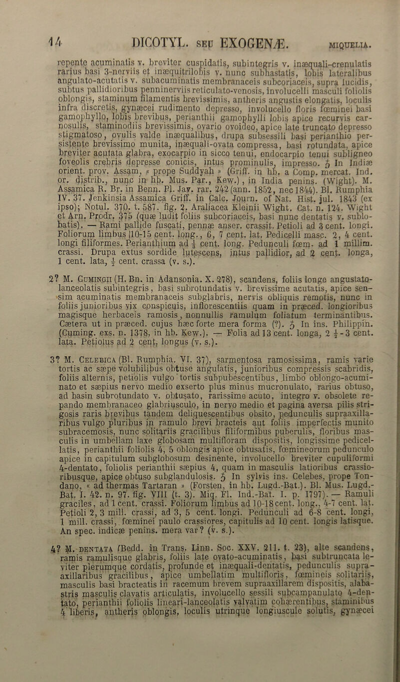 repente .acuminatis v. breviter cuspidatis, subintegris v. inaequali-crenulatis rarius basi 3-nerviis et inaequjtrilobjs v. nunc subhastatis, lobis lateralibus angulato-acutatis v. subacuminatis membranaceis subcoriaceis, supra lucidis, subtus pallidioribus penninerviis reliculato-venosis, involuceili masculi foliolis oblongis, staminum filamentis brevissimis, antheris angustis elongatis, loculis infra discretis, gynaecei rudimento depresso, involucello floris fceminei basi gamophyljo, lobis brevibus, .perianthii gamophylli lobis apice recurvis car- nosulis, staminodiis brevissimis, ovario ovoideo, apice late truncato depresso stigmatoso, ovulis valde inaequalibus, drupa subsessili basi perianthio per- sistente brevissimo munita, inaequali-ovata compressa, basi rotundata, apice breviter acutata glabra, exocarpio in sicco tenui, endocarpio tenui subligneo foveolis crebris depresse conicis, intus prominulis, impresso. 5 In Indiae orient. prov. Assam; ,« prope Suddyah » (Griff. in hb. a Comp. mereat. Ind. or. distrib., nunc in hb. Mus. Par., Kew.), in India penins. (Wight). M. Assamica R. Br. in Benq. Pl. Jav. rar. 242(ann. 1852, nec 1844). Bl. Rumphia IV. 37. Jenkinsia Assamica Griff. in Cale. Journ. of Nat. Hist. jul. 1843 (ex ipso); Notui. 37D- t. 587. fig. 2. Araliacea Kleinii Wight. Cat. n. 124. Wight et Arn. Prodr, 375 (quae ludit foliis subcoriaceis, basi nunc dentatis y. sublo- batis). — Rami pallide fuscati, pennae anser, crassit. Petioli ad 3 cent. longi. Foliorum limbus 110-15 cent. long., 6, 7 cent. lat. Pedicelli masc. 2, 4 cent. longi filiformes. Perianthium ad -5 cent. long. Pedunculi foem. ad 1 millim. crassi. Drupa extus sordide lutescens, intus pallidior, ad 2 cent. longa, 1 cent. lata, | cent. crassa (v. s.). 2? M. Cumingii (H. Bn. in Adansonia. X. 278), scandens, foliis longe angustato- lanceolatis subintegris, basi subrotundatis v. brevissime acutatis, apice sen- sim acuminatis membranaceis subglabris, nervis obliquis remotis, nunc in foliis junioribus yjx cpnspicuis, inflorescendis quam in praeced. longioribus magisque herbaceis ramosis, nonnullis ramulum foliatum terminantibus. Caetera ut in praeced. cujus haec forte mera forma (?). 5 In ins. Philippih. (Cuming. exs. n. 1378, in hb. Kew.). — Folia ad 13 cent. longa, 2 j-3 cent. lata. Petiolus ad 2 cent. longus (v. s.). 3? M. Celebica. (Bl. Rumphia. VI. 37), sarmentosa ramosissima, ramis varie tortis ac saepe volubilibus obtuse angulatis, junioribus compressis scabridis, foliis alternis, petiolis vulgo'tortis subpubescentibus, limbo oblongo-acumi- nato et saepius nervo medio exserto plus minus mucronulato, rarius obtuso, ad basin subrotundato v. obtusato, rarissime acuto, integro v. obsolete re- pando membranaceo glabriusculo, in nervo medio et pagina aversa pilis stri- gosis raris brevibus tandem deliquescentibus obsito, pedunculis supraaxilla- ribus vulgo pluribus in ramulo brevi bracteis aut foliis imperfectis munito subracemosis, nunc solitariis gracilibus filiformibus puberulis, floribus mas- culis in umbellam laxe globosam multifloram dispositis, longissime pedicel- latis, perianthii foliolis 4, 5 oblongis apice obtusatis, foemineorum pedunculo apice in capitulum subglobosum desinente, involucello breviter cupuliformi 4-dentato, foliolis perianthii saepius 4, quam in masculis latioribus crassio- ribusque, apice pbtuso subglandulosis. $ In sylvis ins. Celebes, prope Ton- dano, « ad thermas Tartaran » (Forsten, in hb. Lugd.-Bat.). Bl. Mus. Lugd.- Bat. I. 42. n. 97. fig. VIII (t. 3). Miq. FI. Ind.-Bat. I. p. 1797). — Ramuli graciles, ad 1 cent. crassi. Foliorum limbus adl0-18cent. long.. 4-7 cent. lat. Petioli 2, 3 mill. crassi, ad 3, 5 cent. longi. Pedunculi ad 6-8 cent. longi. 1 mill. crassi, foeminei paulo crassiores, capitulis ad 10 cent. longis latisque. An spec. indicae penins. mera var? (v. s.). 4? M. dentata (Bedd. in Trans. Linn. Soc. XXV. 211. t. 23), alte scandens, ramis ramulisque glabris, foliis late ovato-acuminatis, basi subtruncata le- viter plerumque cordatis, profunde et inaequali-dentatis, pedunculis supra- axillaribus gracilibus, apice umbellatim multifloris, foemineis solitariis, masculis basi bracteatis in racemum brevem supraaxillarem dispositis, alaba- stris masculis clavatis articulatis, involucello sessili spbcampanulato 4-den- tato, perianthii foliolis lineari-lanceolatis valvatim cohaerentibus, staminibus