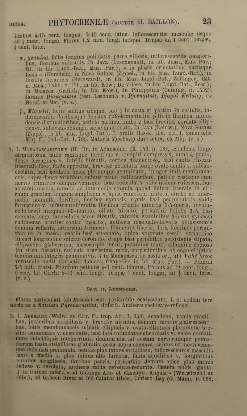 limbus 4-15 cent. longus, 2-10 cent. latus. Inflorescendae masculae usque ad ^ metr. longae. Flores 1,2 mm. longi latique. Drupae ad 1 cent. longae, j cent. latae. a, genuina, foliis longius petiolatis, parce villosis, inflorescendis longiori- bus floribus villosulis. In Java (Leschenault, in hb. Juss., Mus. Par.; Bl.’in hb. Lugd.-Bat., Mus. Par.), « in plagis orientalibus variisque locis » (Horsfield), in Nova Guinea (Zippel., in hb. Mus. Lugd.-Bat.), in insulis Javanicis (Reinwardt, in hb. Mus. Lugd.-Bat.; Zollinger, Cat. n 2464; Lobb. n. 171, in hb. Kew; De Vriese. in hb. Lugd.-Bat., Kew.), in Malacca (Griffith, in hb. Kew.), in Philippinis (Cuming. n. 1532). Javanis Djangatane (test. Leschen.) v. Djoengitan, Djagol Kedang, ex Horsf. et Miq. (v. s.) p, Miquelii, foliis subtus ubique, supra in costa et partim in costulis, in- florescendis floribusque densius rufo-tomentellis, pilis in floribus minus densis distinctioribus, petiolo modico, limbo e basi breviter cordata ellip- tico-v. subovato-oblongo, saepe mucronato. In Java (Reinw.), Nova Guinea (Zippel., in hb. Mus. Lugd.-Bat). I. ovalis Hassk. loc. cit. I. tomentella Miq. FI. Ind.-Bat. I. 796. Malayis Tjoebang dari cetan, ex Miq. (v. s.) 2. I. Madagascariensis (H. Bn. in Adansonia. IX. 146. n. 18), scandens, longe sarmentosus, caule ramisque teretibus v. ancipiti-compressis, nunc 4-gonis, dense ferrugineo-v. fulvido-hirsutB, cortice filamentoso, basi caulis luscato insequali-fisso, foliis oppositis, breviter petiolatis longe ovato-acutis v. sublan- ceolatis, basi cordatis, apice plerumque acuminatis, integerrimis membrana- ceis, supra dense viridibus, subtus paulo pallidioribus, petiolo costaque cum nervis primariis obliquis venisque laxe reticulatis pilis iisdem rufescentibus ac ramis obsitis, ramulo ad internodia singula quoad folium laterale in cir- rhum gracilem longum simplicem v. apice ramosum mutato, cirrho ad inter- nodia nonnulla florifero, floribus cymosis, cymis basi pedunculatis valde ferrugineo-v. rufescenti-hirsutis, floribus crebris minutis 3-5-meris, mvolu- cello brevi inaequali-3-5-dentato, ciliato hirsuto, perianthii foliolis 3-5, basi connatis longe lanceolatis parce hirsutis, valvatis, staminibus 3-5 sub gynaecei rudimento breviter conico insertis , antheris inaequali-obovatis obtusissimis demum reflexis, introrsum 2-rimosis, filamentis liberis, floris foeminei perian- thio ut in masc., ovario basi attenuato, apice stigmate sessili excentrico lineari longitudine sulcato coronato, drupa basi perianthio persistente stipata, ellipsoidea glaberrima, mesocarpio tenui, putamine tenui, albumine copioso (in sicco fuscato), radicula brevissima recta, cotyledonibus oblongo-ellipticis tenuissimis integris penninervis. 5 In Madagascariae costa or., ubi Vahd fissoc vernacule audit (Dupetit-Thouars, Chapelier, in hb. Mus. Par.). — Ramuli 2-4 mill. crassi. Foliorum petiolus j-1 cent. longus, limbus ad 12 cent. long., 5 cent. lat. Cirrhi 5-10 cent. longi. Drupae 1 cent. longae, ad f cent. latae, (v. s.) Sect. ii. Gymniodes. Flores ecalyculati (ab Eviodei sect. perianthio ecalyculato, i. e. eodem fere modo ac a Natsialo Pijrenacantha, differt). Antheree cochleato-reflexae. 3. 1. Africana (Welw. ex Oliv. Fl. trop. Afr. I. 358), scandens, ramis gracili- bus, junioribus strigillosis v. breviter hirsutis, demum saepius glabrescenti ■ bus, foliis membranaceis sublatis ellipticis v. ovato-ellipticis plerumque bre- viter acuminatis v. cuspidatis, basi late rotundato-subcordatis v. valde cordatis nunc subobliquis integerrimis, demum nisi ad costam nervorumque prima- riorum basin strigillosas glabratis, costa supra concava, subtus uti nervi venae- que reticulati prominula, petiolo plus minus strigilloso, inflorescendis masculis laxis e medio v. plus minus alte furcatis, foliis aqualibus v. longioribus tenuiter strigillosis, floribus parvis, perianthio demum apice plus minus reflexo v. revoluto, antheris valde revoluto-recurvis. Caetera nobis ignota. 5 In Guinea infer., « ad Golungo Alto et Casengo, Angola » (Welwitschl ex Oliv.), ad Gaboon River et Old Calabar River, Corisco Bay (G. Mann, n. 968,