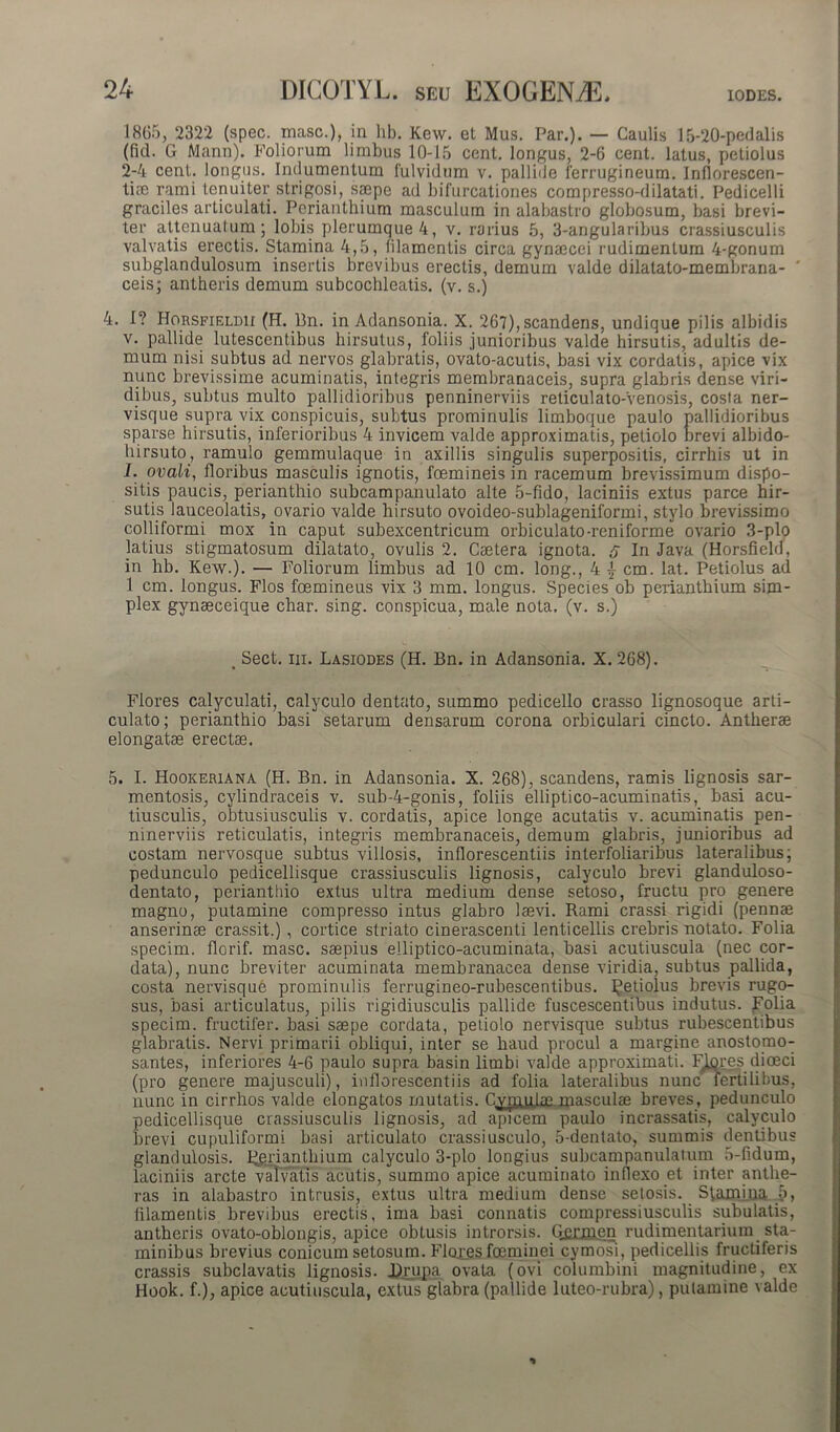 10DES. 1865, 2322 (spec. masc.), in lib. Kew. et Mus. Par.). — Caulis 15-20-pedalis (fid. G Manu). Foliorum limbus 10-15 cent. longus, 2-6 cent. latus, petiolus 2-4 cent. longus. Indumentum fulvidum v. pallide ferrugineum. Inflorescen- tia! rami tenuiter strigosi, saepe ad bifurcationes compresso-dilatati. Pedicelli graciles articulati. Perianthium masculum in alabastro globosum, basi brevi- ter attenuafum; lobis plerumque 4, v. rarius 5, 3-angularibus crassiusculis valvatis erectis. Stamina 4,5, filamentis circa gynaecei rudimentum 4-gonum subglandulosum insertis brevibus erectis, demum valde dilalato-membrana- ceis; antheris demum subcochlcatis. (v. s.) 4. I? Horsfieldii (H. Bn. in Adansonia. X. 267), scandens, undique pilis albidis v. pallide lutescentibus hirsutus, foliis junioribus valde hirsutis, adultis de- mum nisi subtus ad nervos glabratis, ovato-acutis, basi vix cordatis, apice vix nunc brevissime acuminatis, integris membranaceis, supra glabris dense viri- dibus, subtus multo pallidioribus penninerviis reticulato-venosis, costa ner- visque supra vix conspicuis, subtus prominulis limboque paulo pallidioribus sparse hirsutis, inferioribus 4 invicem valde approximatis, petiolo brevi albido- hirsuto, ramulo gemmulaque in axillis singulis superpositis, cirrhis ut in I. ovali, floribus masculis ignotis, foemineis in racemum brevissimum dispo- sitis paucis, perianthio subcampanulato alte 5-fido, laciniis extus parce hir- sutis lauceolatis, ovario valde hirsuto ovoideo-sublageniformi, stylo brevissimo colliformi mox in caput subexcentricum orbiculato-reniforme ovario 3-plo latius stigmatosum dilatato, ovulis 2. Caetera ignota. S In Java (Horsfield, in hb. Kew.). — Foliorum limbus ad 10 cm. long., 4 | cm. lat. Petiolus ad 1 cm. longus. Flos foemineus vix 3 mm. longus. Species ob perianthium sim- plex gynseceique char. sing. conspicua, male nota. (v. s.) Flores calyculati, calyculo dentato, summo pedicello crasso lignosoque arti- culato; perianthio basi setarum densarum corona orbiculari cincto. Antherae elongatse erectas. 5. I. Hookeriana (H. Bn. in Adansonia. X. 268), scandens, ramis lignosis sar- mentosis, cylindraceis v. sub-4-gonis, foliis elliptico-acuminatis, basi acu- tiusculis, obtusiusculis v. cordatis, apice longe acutatis v. acuminatis pen- ninerviis reticulatis, integris membranaceis, demum glabris, junioribus ad costam nervosque subtus villosis, inflorescentiis interfoliaribus lateralibus; pedunculo pedicellisque crassiusculis lignosis, calyculo brevi glanduloso- dentato, perianthio extus ultra medium dense setoso, fructu pro genere magno, putamine compresso intus glabro laevi. Rami crassi rigidi (pennae anserinae crassit.) , cortice striato cinerascenti lenticellis crebris notato. Folia specim. florif. masc. saepius elliptico-acuminata, basi acutiuscula (nec cor- data), nunc breviter acuminata membranacea dense viridia, subtus pallida, costa nervisque prominulis ferrugineo-rubescentibus. petiolus brevis rugo- sus, basi articulatus, pilis rigidiusculis pallide fuscescentibus indutus, polia specim. fructifer, basi saepe cordata, petiolo nervisque subtus rubescentibus glabratis. Nervi primarii obliqui, inter se haud procul a margine anostomo- santes, inferiores 4-6 paulo supra basin limbi valde approximati. FJtores dioeci (pro genere majusculi), inflorescentiis ad folia lateralibus nunc' fertilibus, nunc in cirrhos valde elongatos mutatis. Cymulm masculae breves, pedunculo pedicellisque crassiusculis lignosis, ad apicem paulo incrassatis, calyculo brevi cupuliformi basi articulato crassiusculo, 5-dentato, summis dentibus glandulosis, pgrianthium calyculo 3-plo longius subcampanulatum 5-fidum, laciniis arcte valvatis acutis, summo apice acuminato inflexo et inter anthe- ras in alabastro intrusis, extus ultra medium dense setosis. Stami.ua i>, filamentis brevibus erectis, ima basi connatis compressiusculis subulatis, antheris ovato-oblongis, apice obtusis introrsis. Qcij&en rudimentarimn sta- minibus brevius conicum setosum. Flcmes foeminei cymosi, pedicellis fructiferis crassis subclavatis lignosis. JDrupa ovata (ovi columbini magnitudine, ex Hook. f.), apice acutiuscula, extus glabra (pallide luteo-rubra), putamine valde t Sect. iii. Lasiodes (H. Bn. in Adansonia. X. 268).