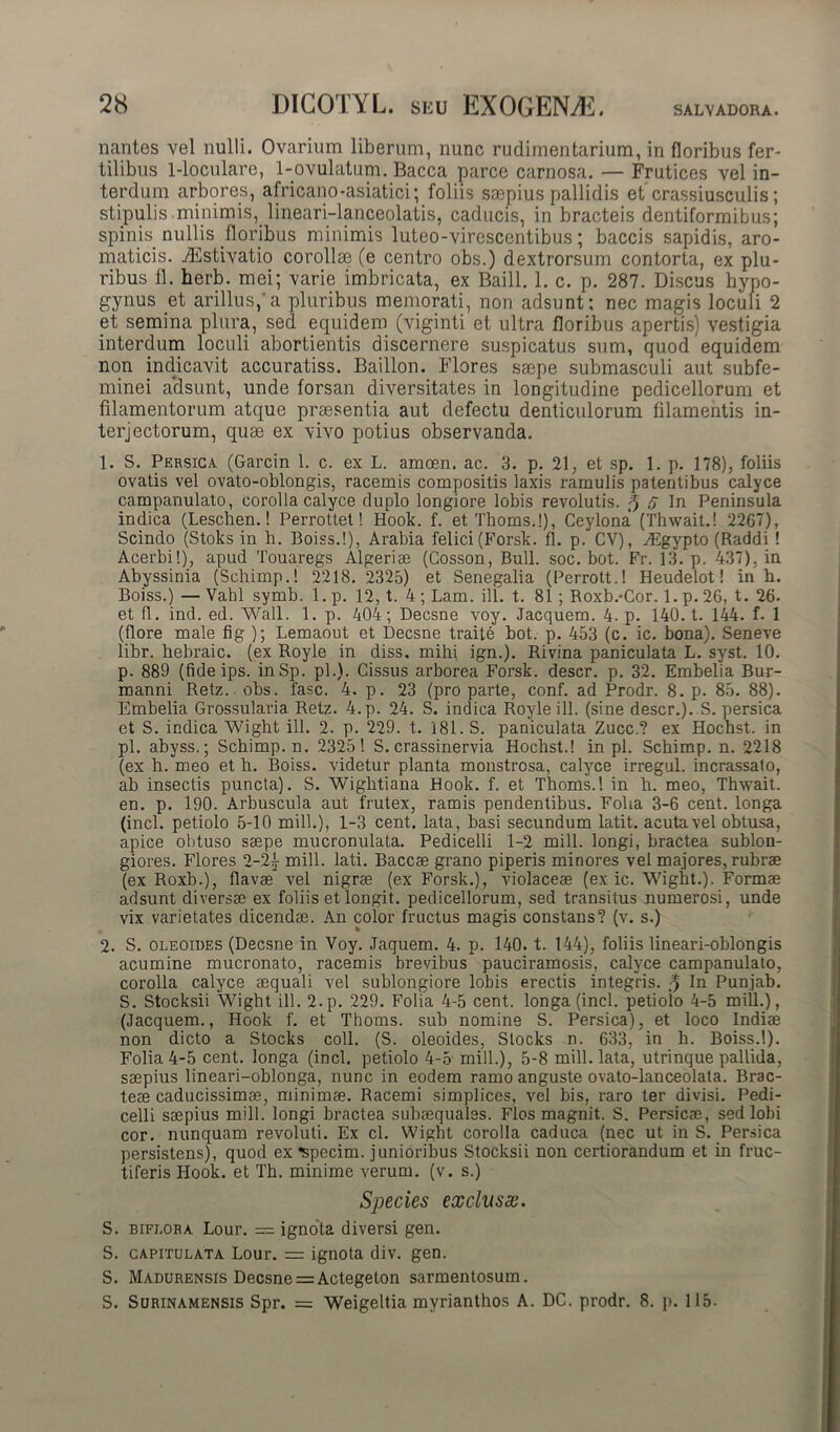 SALVADORA. nantes vel nulli. Ovarium liberum, nunc rudimentarium, in floribus fer- tilibus 1-loculare, 1-ovulatum. Bacca parce carnosa. — Frutices vel in- terdum arbores, africano-asiatici; foliis saepius pallidis et crassiusculis; stipulis minimis, lineari-lanceolatis, caducis, in bracteis (lentiformibus; spinis nullis floribus minimis luteo-virescentibus; baccis sapidis, aro- maticis. iEstivatio corollae (e centro obs.) dextrorsum contorta, ex plu- ribus fl. herb. mei; varie imbricata, ex Baill. 1. c. p. 287. Discus hyno- gynus et arillus,'a pluribus memorati, non adsunt; nec magis loculi 2 et semina plura, sed equidem (viginti et ultra floribus apertis) vestigia interdum loculi abortientis discernere suspicatus sum, quod equidem non indicavit accuratiss. Baillon. Flores saepe submasculi aut subfe- minei a’dsunt, unde forsan diversitates in longitudine pedicellorum et filamentorum atque praesentia aut defectu denticulorum filamentis in- terjectorum, quae ex vivo potius observanda. 1. S. Persica (Garcin 1. c. ex L. amoen. ac. 3. p. 21, et sp. 1. p. 178), foliis ovatis vel ovato-oblongis, racemis compositis laxis ramulis patentibus calyce campanulato, corolla calyce duplo longiore lobis revolutis. 5 S In Peninsula indica (Leschen.! Perrottet! Hook. f. et Thoms.!), Ceylona' (Thwait.! 2267), Scindo (Stoks in h. Boiss.!), Arabia felici (Forsk. fl. p. CV), zEgypto (Raddi ! Acerbi!), apud Touaregs Algeriae (Cosson, Bull. soc. bot. Fr. 13. p. 437), in Abyssinia (Schimp.! 2218. 2325) et Senegalia (Perrott.! Heudelot! in b. Boiss.) — Vahl symb. 1. p. 12, t. 4; Lam. ili. t. 81 ; Roxb.*Cor. 1. p. 26, t. 26. et fl. ind. ed. Wall. 1. p. 404; Decsne voy. Jacquem. 4. p. 140. t. 144. f. 1 (flore male fig ); Lemaout et Decsne traite bot. p. 453 (c. ic. bona). Seneve libr. hebraic. (ex Royle in diss. mihi ign.). Rivina paniculata L. syst. 10. p. 889 (fide ips. inSp. pl.). Cissus arborea Forsk. descr. p. 32. Embelia Bur- manni Retz. obs. fasc. 4. p. 23 (pro parte, conf. ad Prodr. 8. p. 85. 88). Embelia Grossularia Retz. 4.p. 24. S. indica Royle ili. (sine descr.). S. persica et S. indica Wight ili. 2. p. 229. t. 181. S. paniculata Zucc.? ex Hochst. in pl. abyss.; Schimp. n. 2325! S. crassinervia Hochst.! in pl. Schimp. n. 2218 (ex h. meo et h. Boiss. videtur planta monstrosa, calyce irregul. incrassato, ab insectis puncta). S. Wightiana Hook. f. et Thoms.! in h. meo, Thwait. en. p. 190. Arbuscula aut frutex, ramis pendentibus. Foha 3-6 cent. longa (incl. petiolo 5-10 mill.), 1-3 cent. lata, basi secundum latit. acuta vel obtusa, apice obtuso saepe mucronulata. Pedicelli 1-2 mill. longi, bractea sublon- giores. Flores 2-2j mill. lati. Baccae grano piperis minores vel majores, rubrae (ex Roxb.), flavae vel nigrae (ex Forsk.), violaceae (ex ic. Wight.). Formae adsunt diversae ex foliis et longit. pedicellorum, sed transitus numerosi, unde vix varietates dicendae. An color fructus magis constans? (v. s.) 2. S. oleoides (Decsne in Voy. Jaquem. 4. p. 140. t. 144), foliis lineari-oblongis acumine mucronato, racemis brevibus pauciramosis, calyce campanulato, corolla calyce aequali vel sublongiore lobis erectis integris. 5 In Punjab. S. Stocksii Wight ili. 2.p. 229. Folia 4-5 cent. longa (incl. petioio 4-5 miil.), (Jacquem., Hook f. et Thoms. sub nomine S. Persica), et loco Indiae non dicto a Stocks coli. (S. oleoides, Stocks n. 633, in h. Boiss.!). Folia 4-5 cent. longa (incl. petiolo 4-5 mill.), 5-8 mill. lata, utrinque pallida, saepius lineari-oblonga, nunc in eodem ramo anguste ovato-lanceolata. Brac- teae caducissimae, minimae. Racemi simplices, vel bis, raro ter divisi. Pedi- celli saepius mill. longi bractea subaequales. Flos magnit. S. Persicae, sed lobi cor. nunquam revoluti. Ex cl. Wight corolla caduca (nec ut in S. Persica persistens), quod ex ^pecim. junioribus Stocksii non certiorandum et in fruc- tiferis Hook. et Th. minime verum, (v. s.) Species exclusae. S. biflora Lour. = ignota diversi gen. S. capitulata Lour. = ignota div. gen. S. Madurensis Decsne = Actegeton sarmentosum. S. Surinamensis Spr. = Weigeltia myrianthos A. DC. prodr. 8. p. 115.